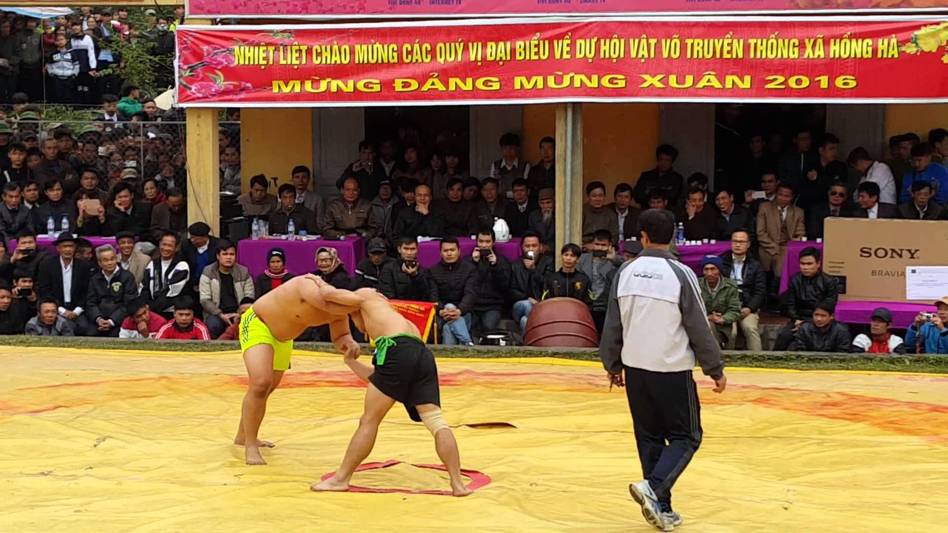 Hoi vat lon nhat Thu do duoc to chuc vao mung 4 thang Gieng anh 1