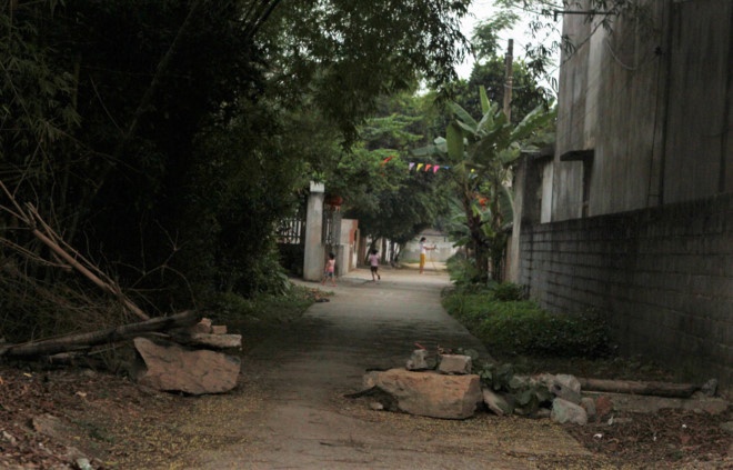 Thanh tra quan ly, su dung dat Dong Tam trong 45 ngay hinh anh