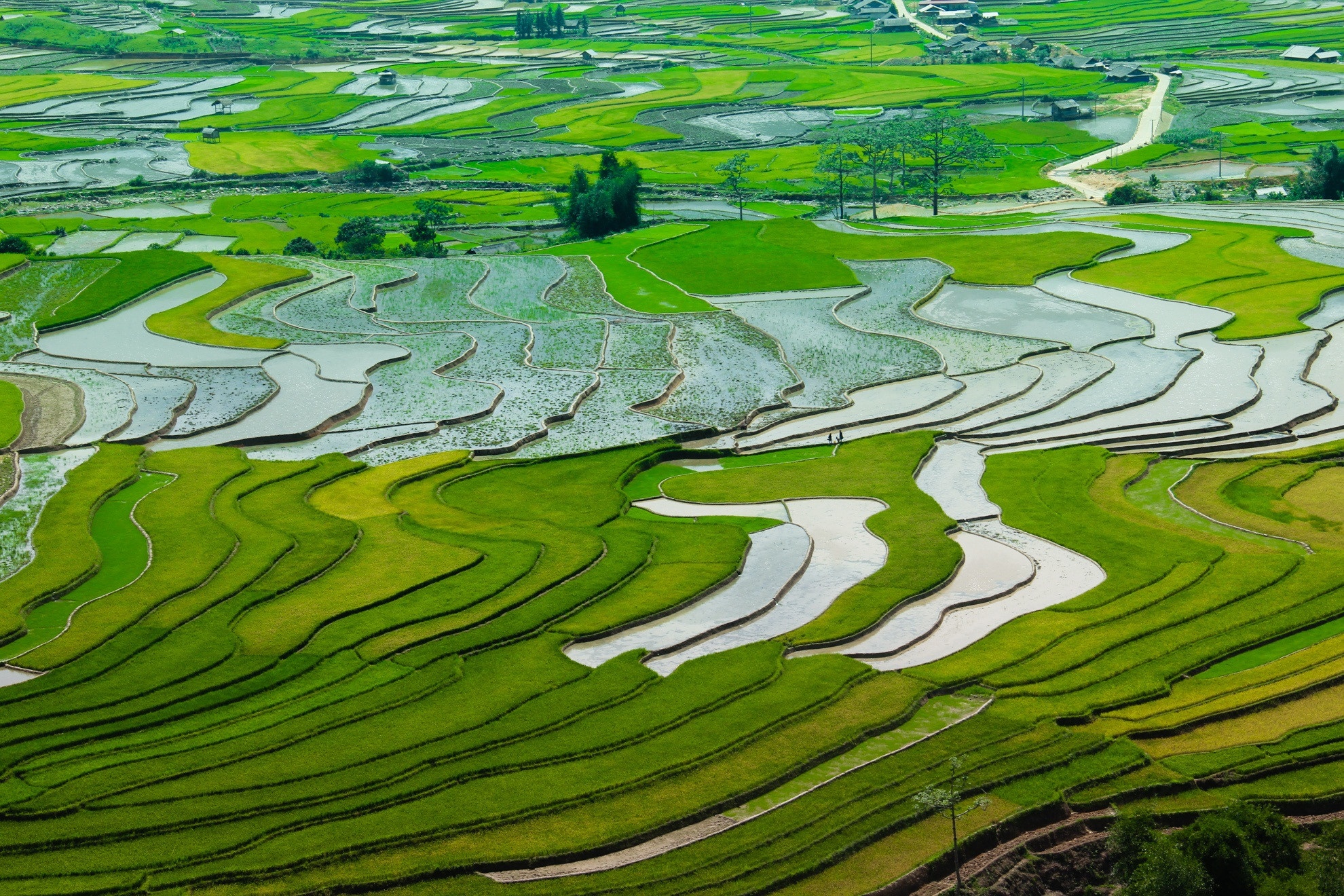 Sắc màu Yên Bái ảnh 1 Sac mau Yen Bai anh 1