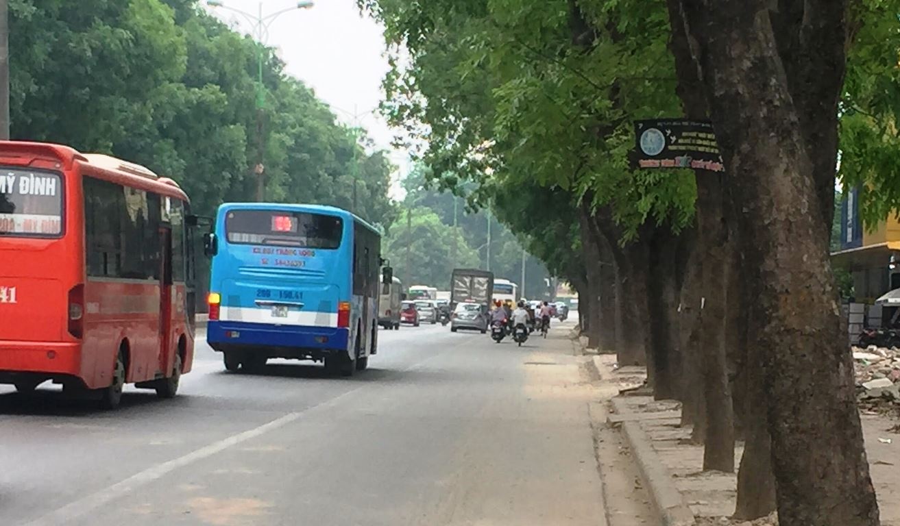 Ha Noi sap chat ha, chuyen hon 1.300 cay xanh hinh anh