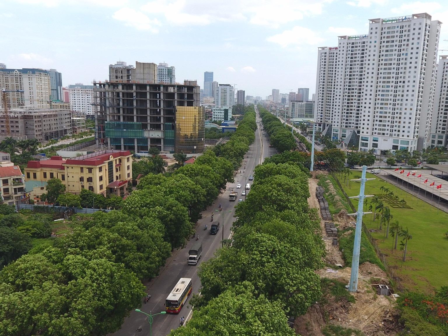 Tai sao khong xin y kien nguoi dan khi chat ha ca nghin cay xanh? hinh anh