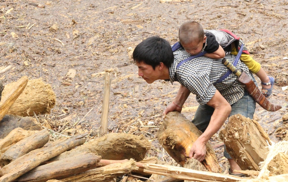 Nguoi dan lieu minh xuong ho thuy dien sau 50 m vot go sau lu quet hinh anh