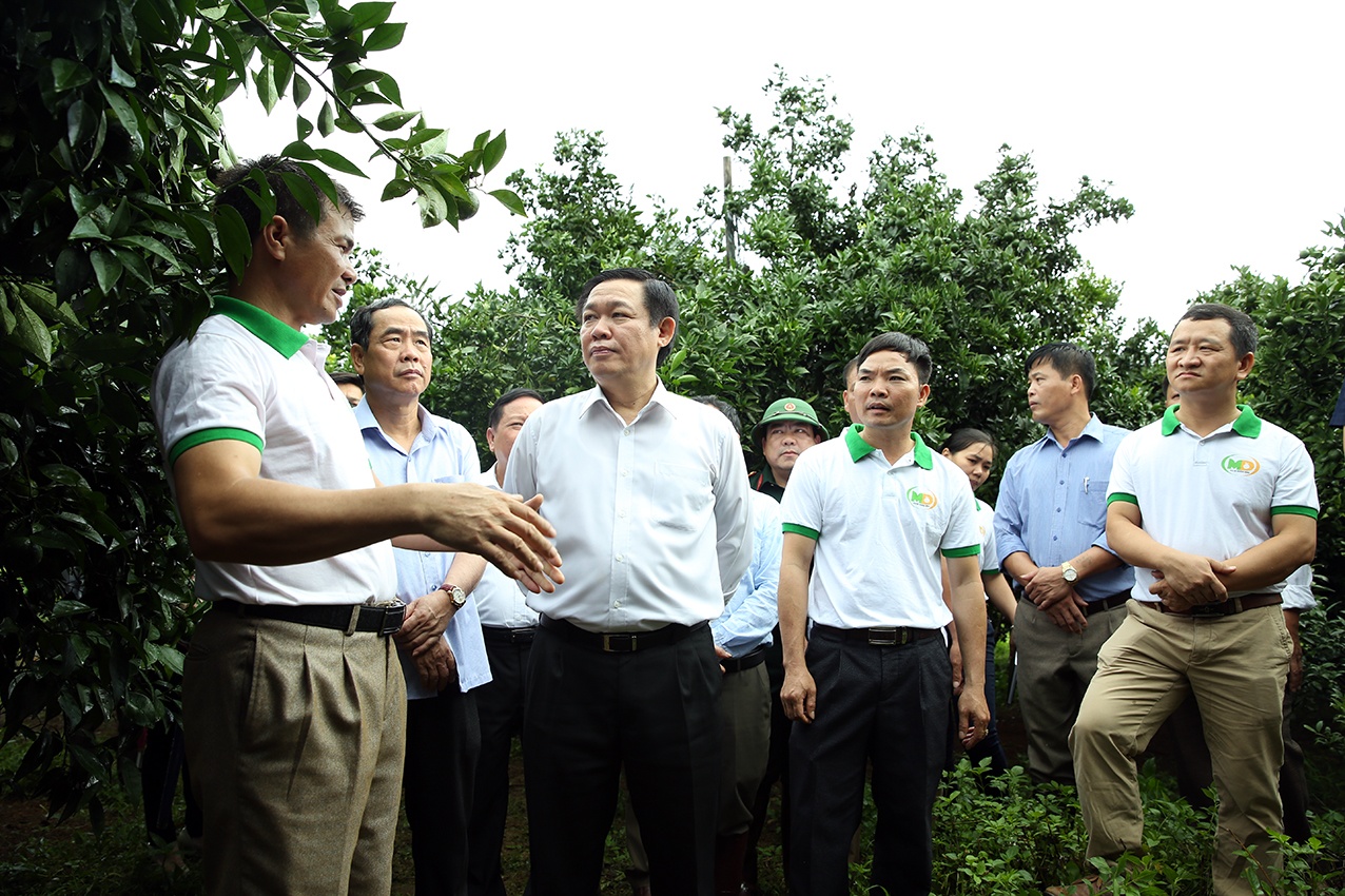 bao hiem chia se rui ro anh 1