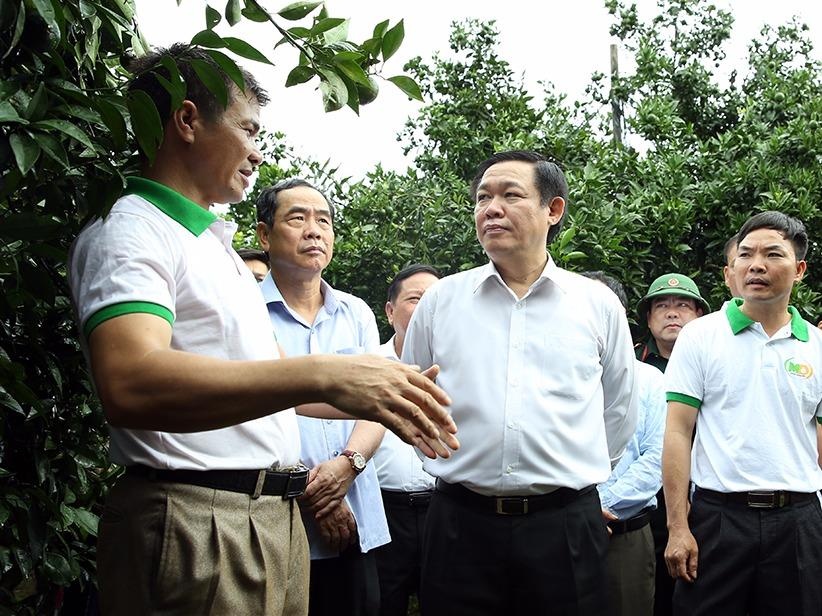 Cuoi nam 2017 se co bao hiem chia se rui ro cho nong dan hinh anh