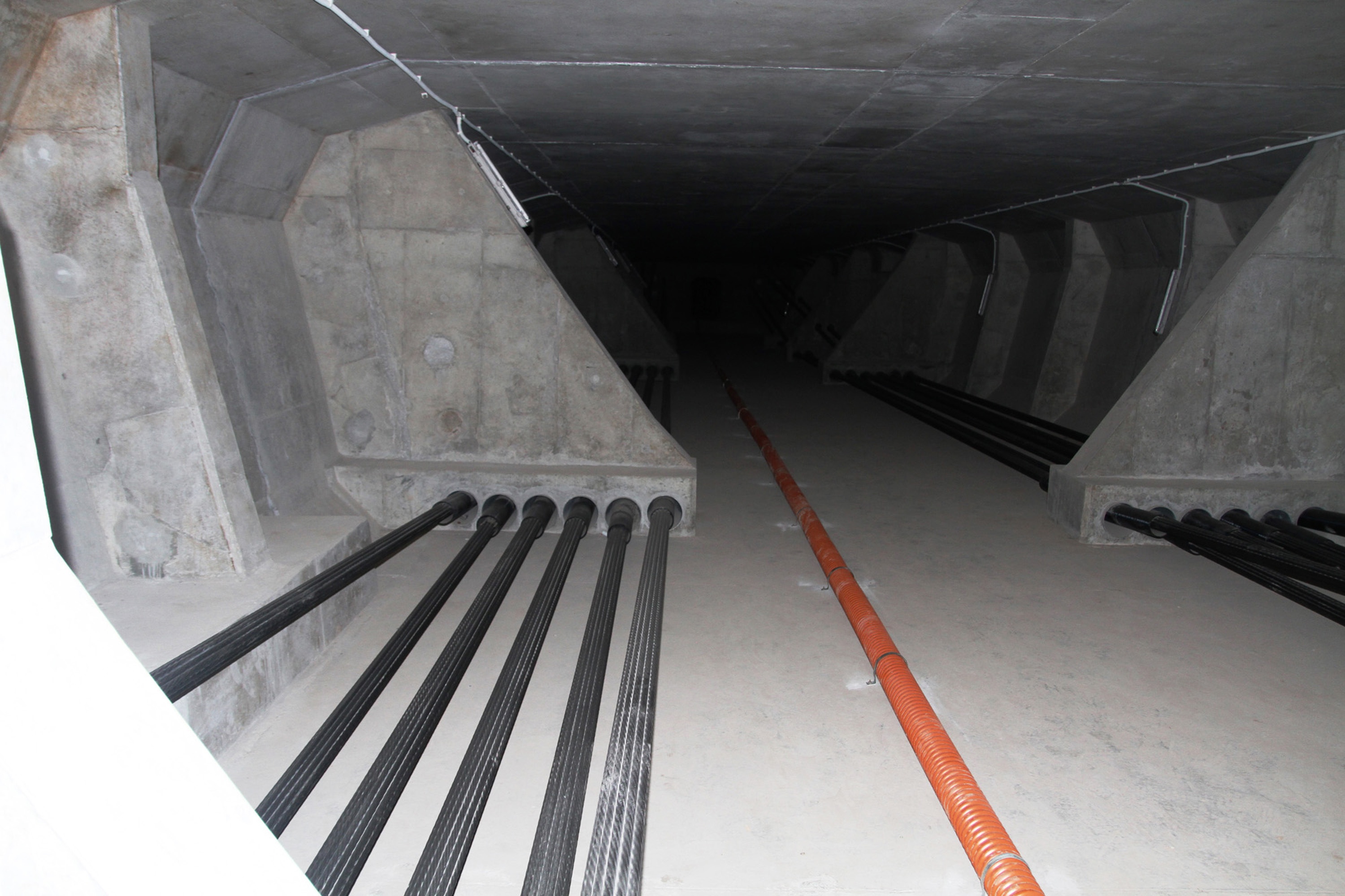 Cau vuot bien Tan Vu - Lach Huyen anh 3