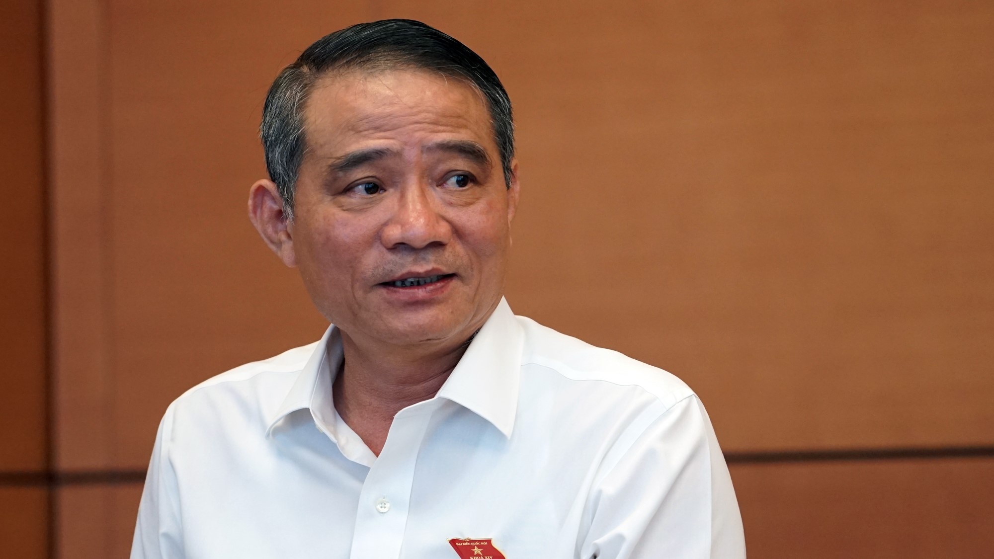 Lan tro lai Da Nang bat ngo cua ong Truong Quang Nghia hinh anh