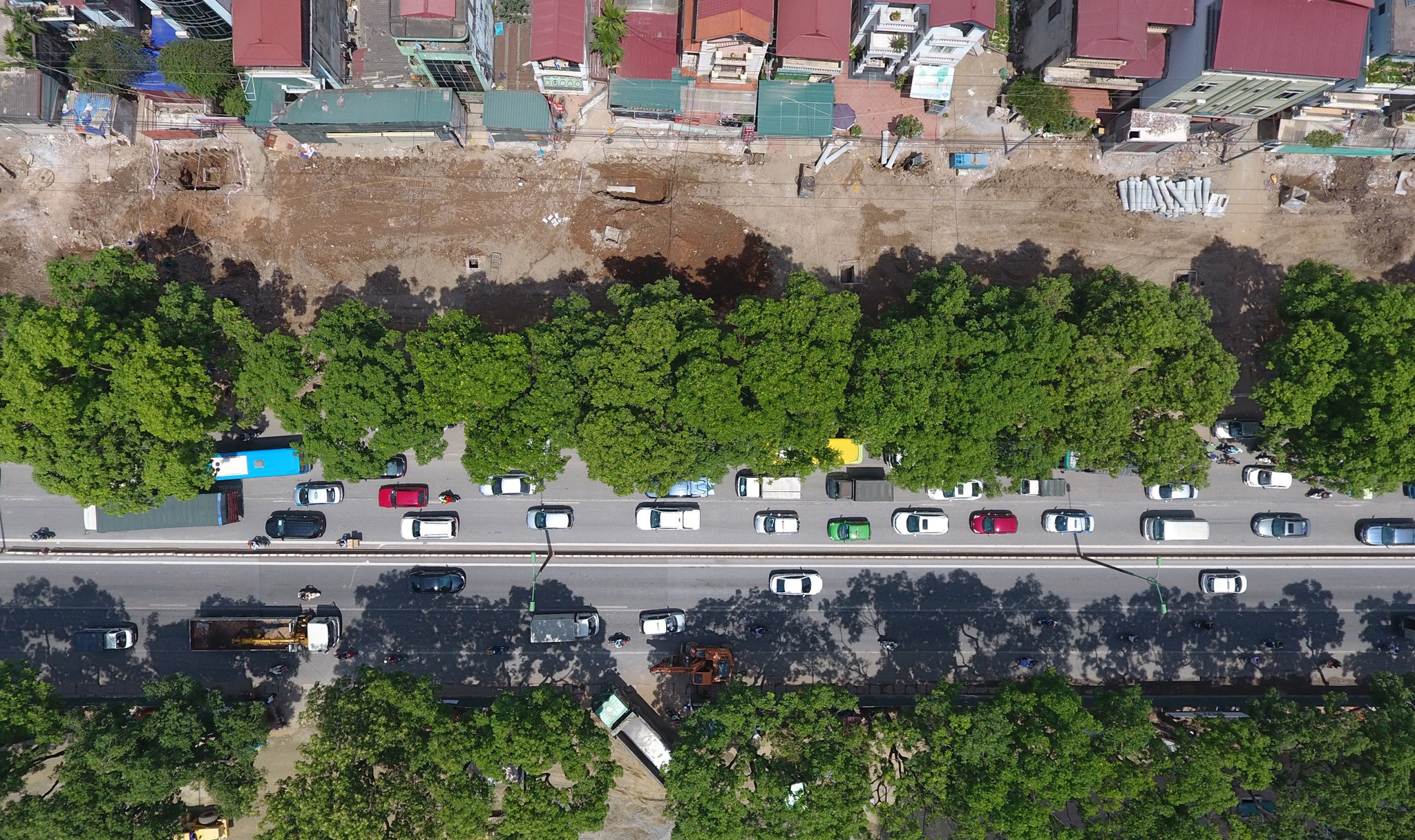 Chặt hạ cây xanh ảnh 1 Chat ha cay xanh anh 1