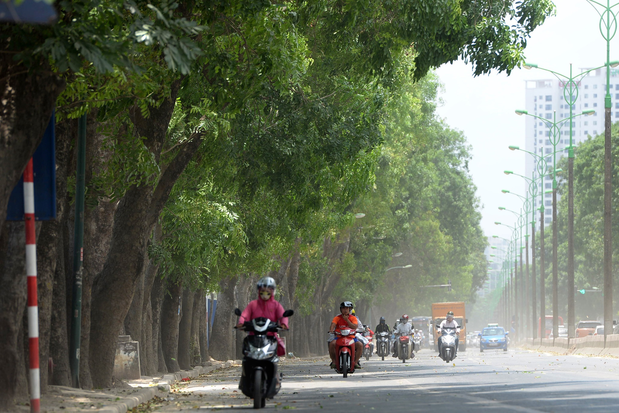 Ha Noi di chuyen, chat ha gan 1.300 cay xanh vao ngay mai hinh anh