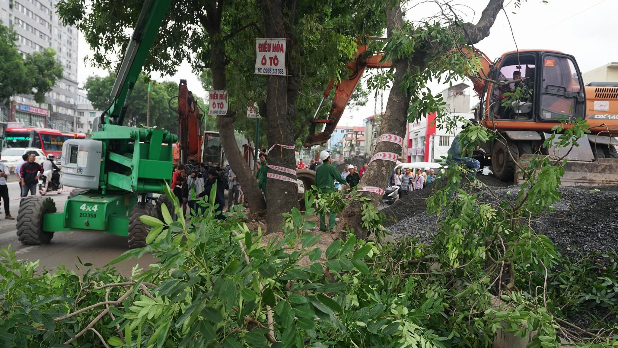 Ha Noi di chuyen, chat ha cay xanh tren duong vanh dai 3 hinh anh