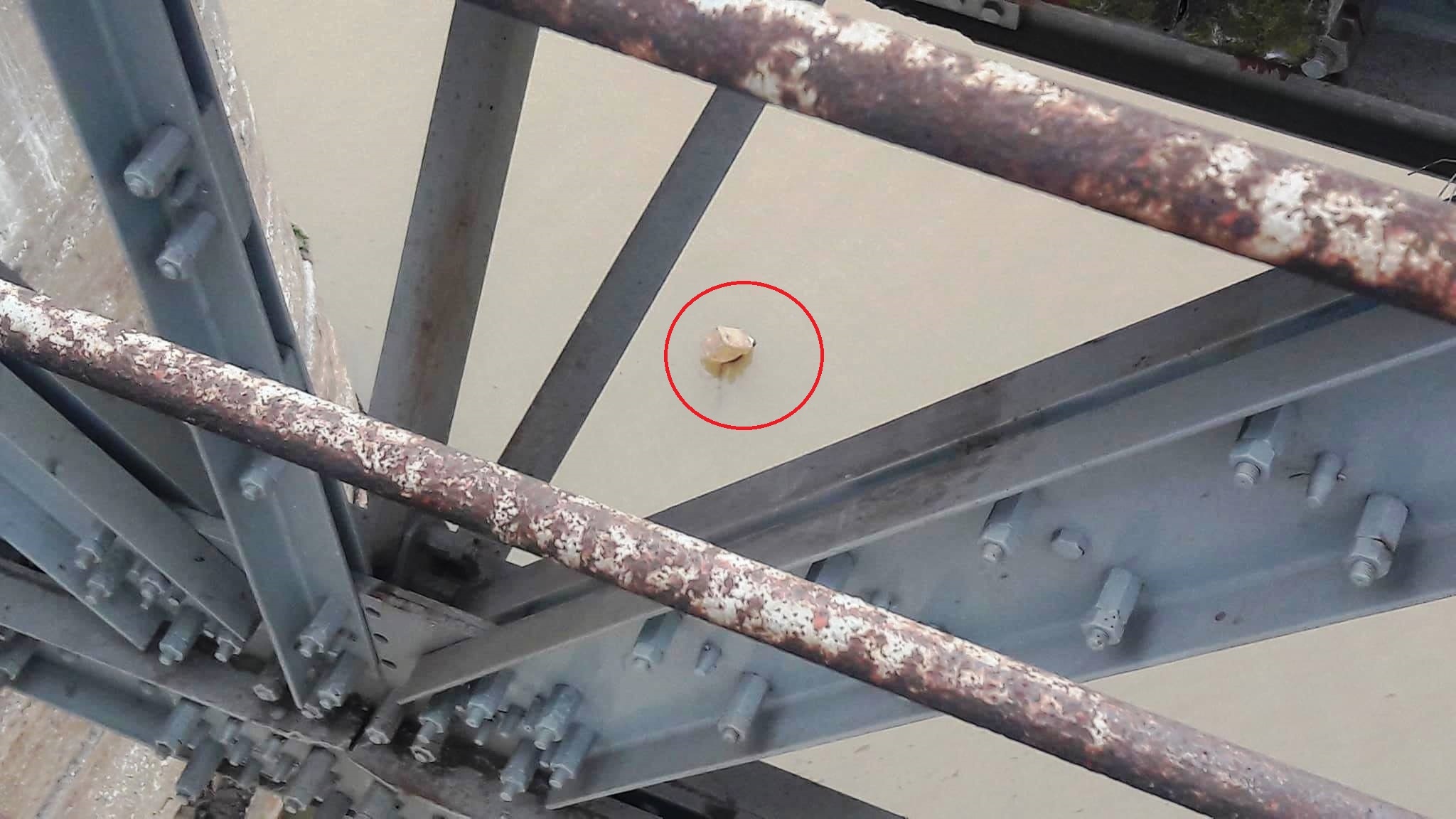 Ha Noi chot phuong an vot bom duoi cau Long Bien hinh anh