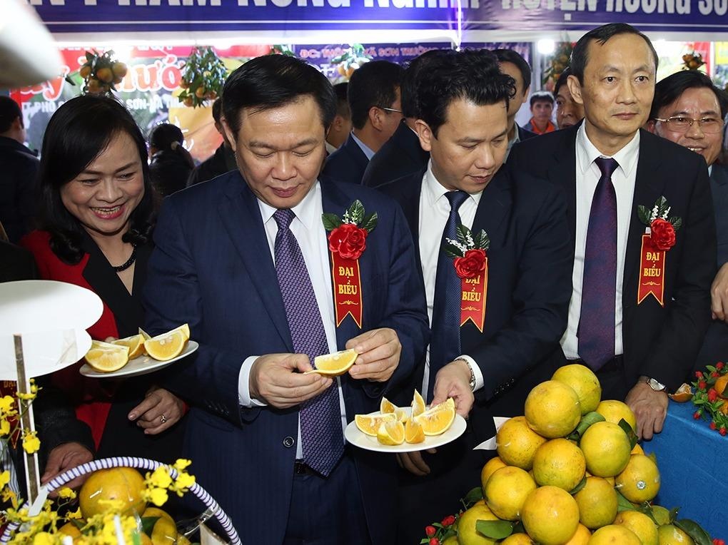 Pho thu tuong du le hoi quang ba cam hinh anh