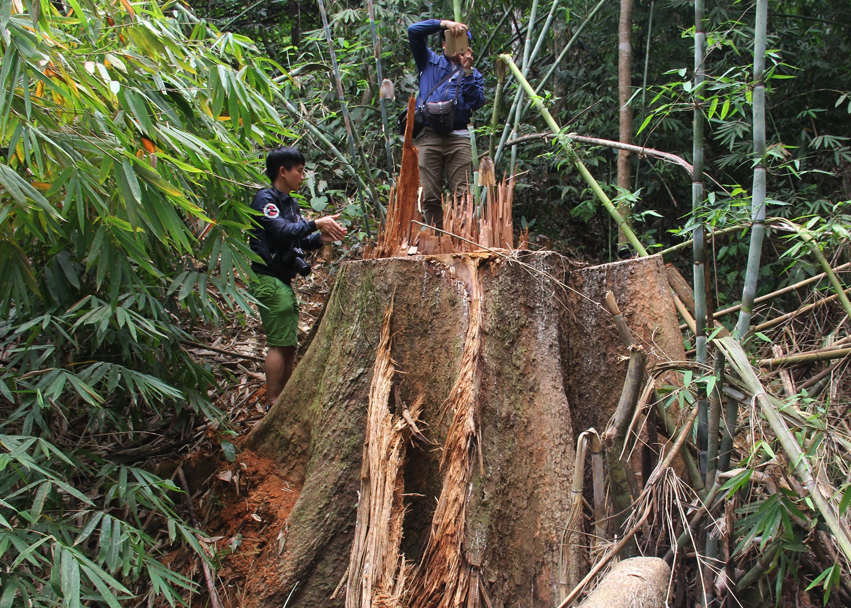 Quoc hoi ky 5 khoa XIV anh 4