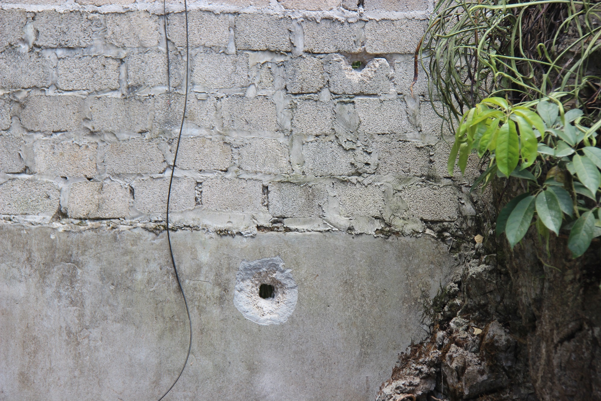 Trum ma tuy o Long Luong anh 8