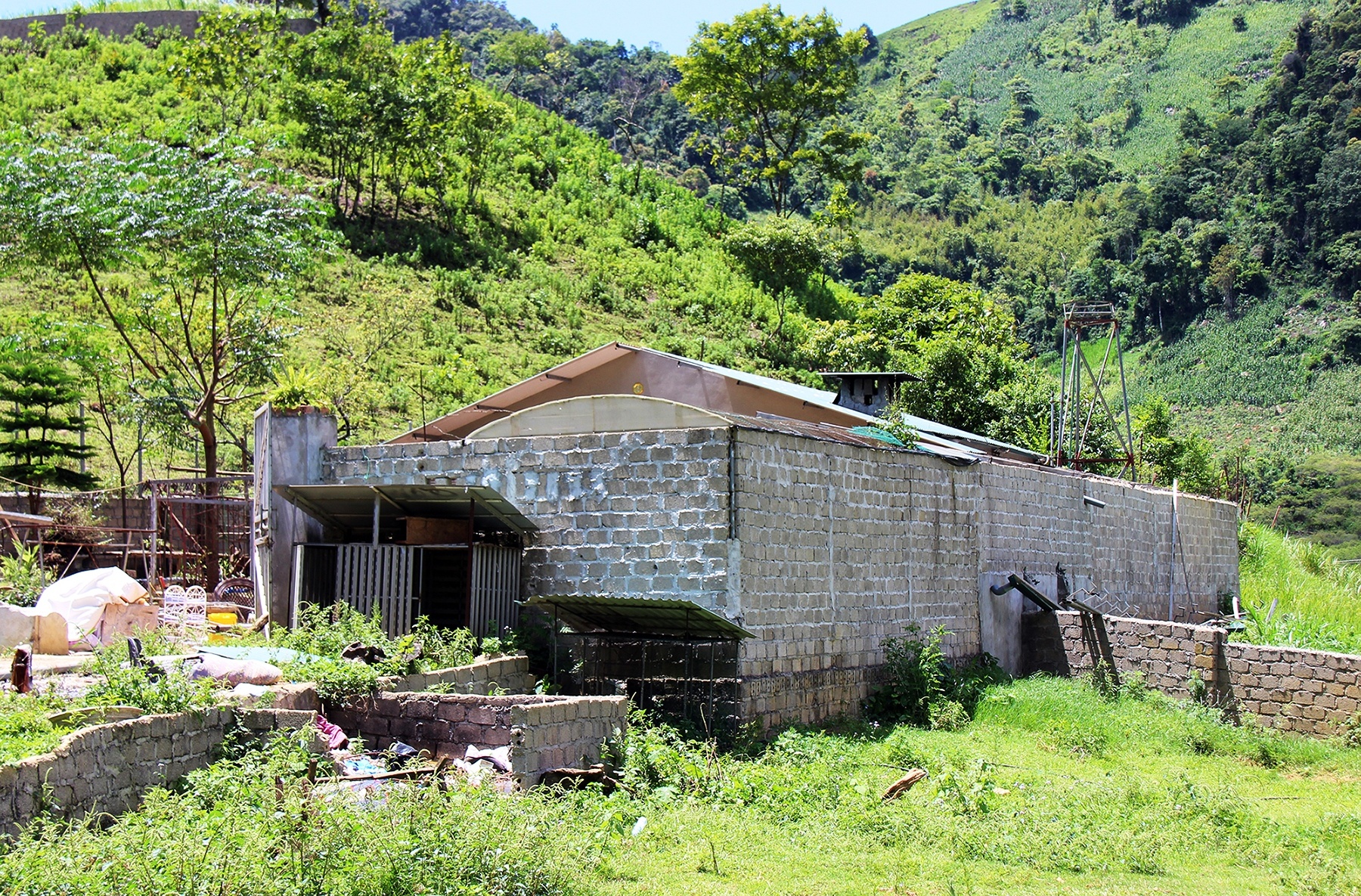 Trum ma tuy Long Luong anh 1