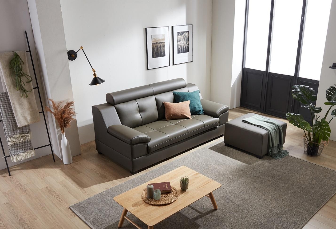 Nhung dieu can biet khi chon sofa da nhap khau hinh anh