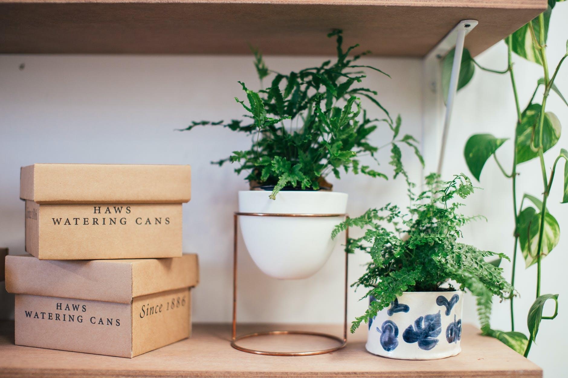 Beko,  Cham soc suc khoe chuyen sau anh 3