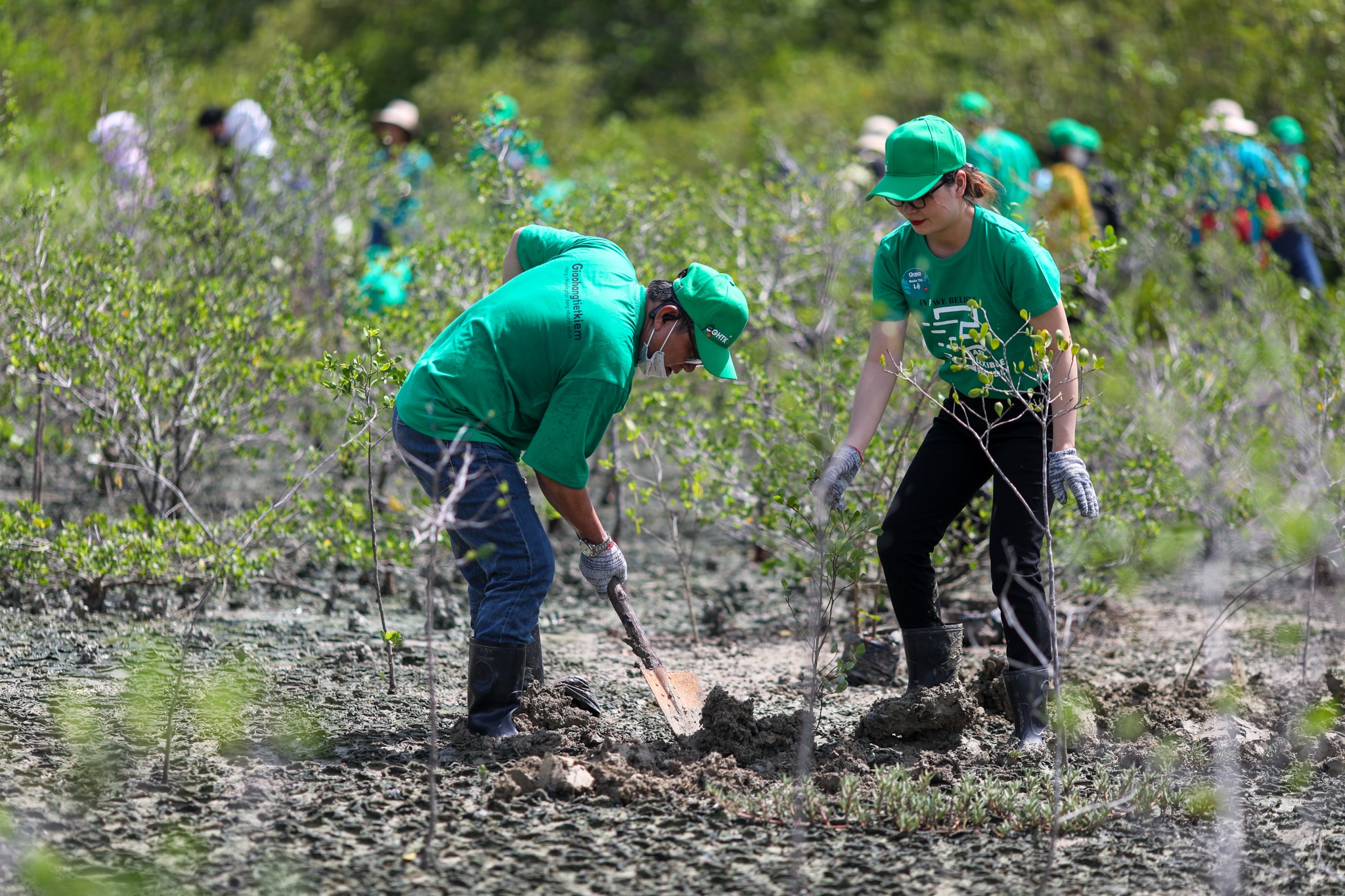 rung ngap man,  chong bien doi khi hau anh 1