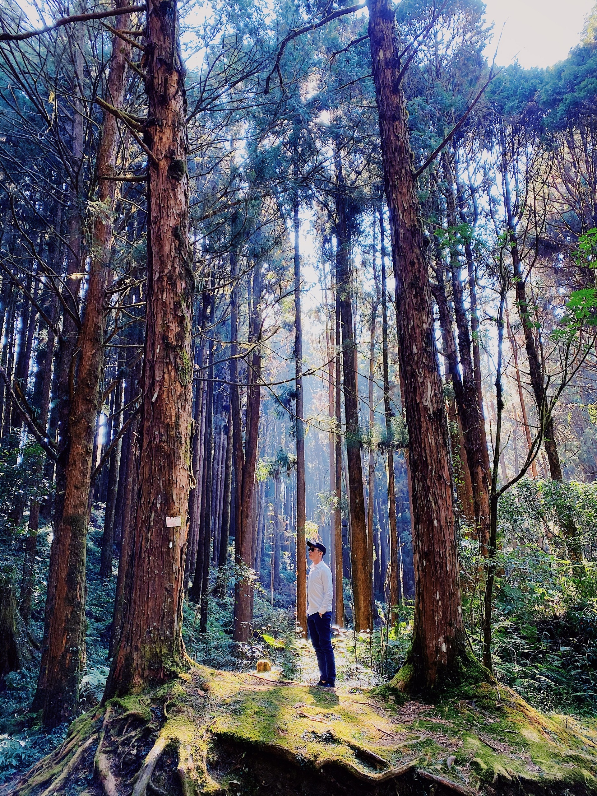 tiết kiệm, HD Bank ảnh 5 tiet kiem, HD Bank anh 5