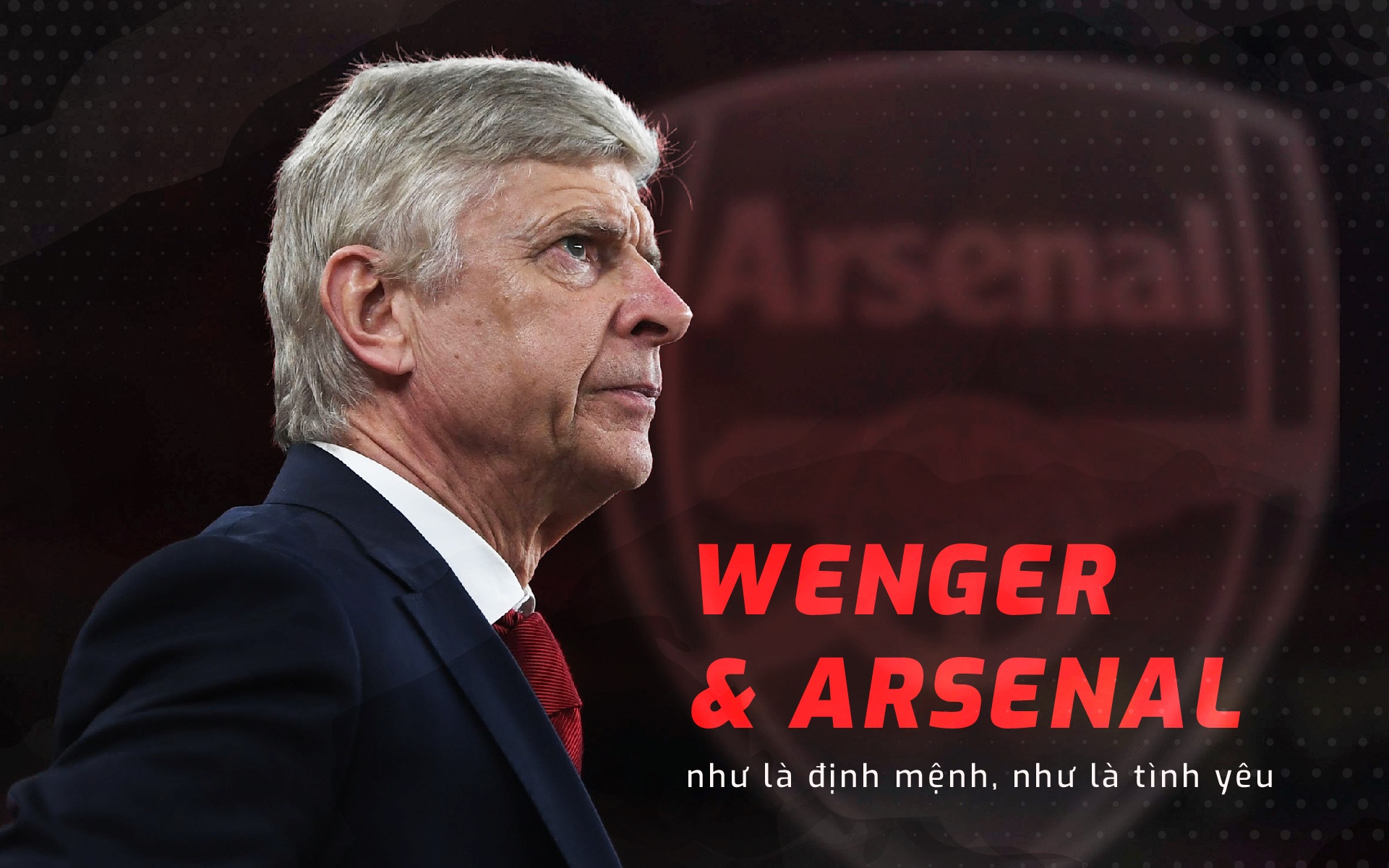 Wenger xứng đáng được tôn trọng bởi tình yêu ảnh 2 Wenger xung dang duoc ton trong boi tinh yeu anh 2