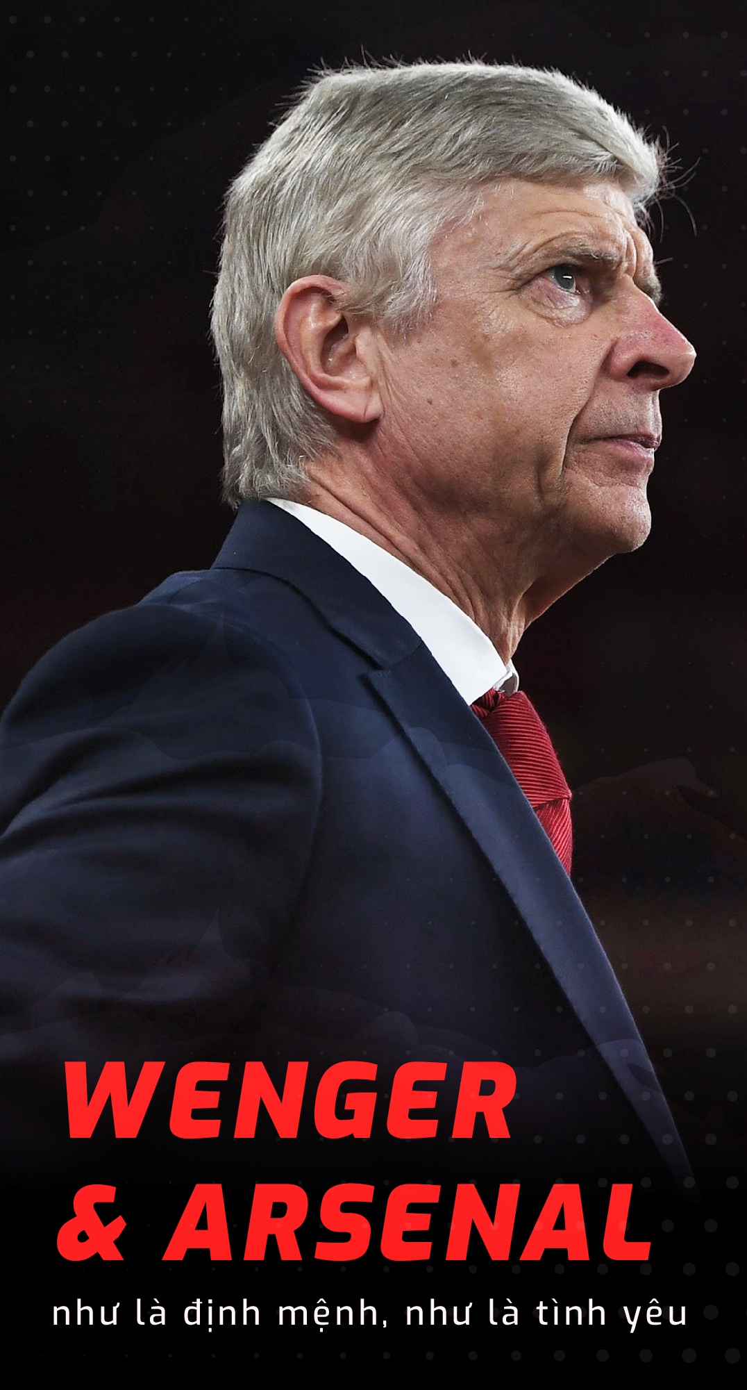 Wenger xứng đáng được tôn trọng bởi tình yêu ảnh 1 Wenger xung dang duoc ton trong boi tinh yeu anh 1