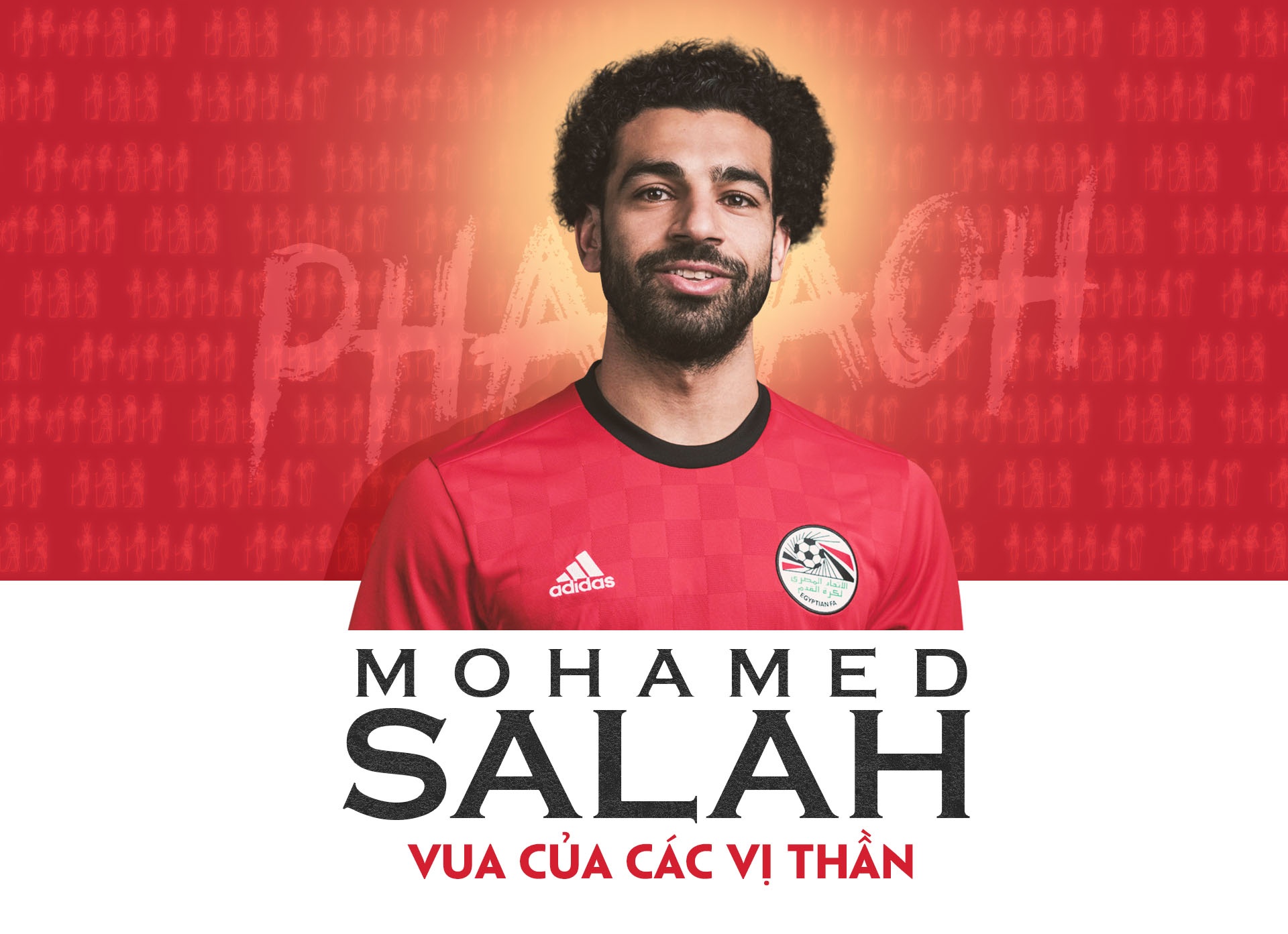 Mohamed Salah, vì World Cup cần anh ảnh 2 Mohamed Salah, vi World Cup can anh anh 2