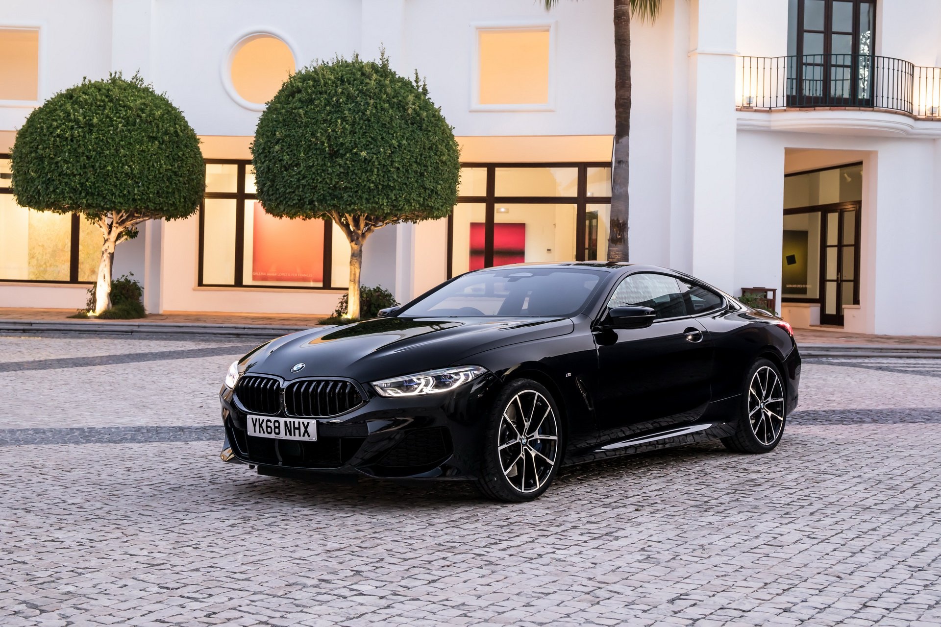 BMW 8-Series Coupe 2019 ra mat anh 10