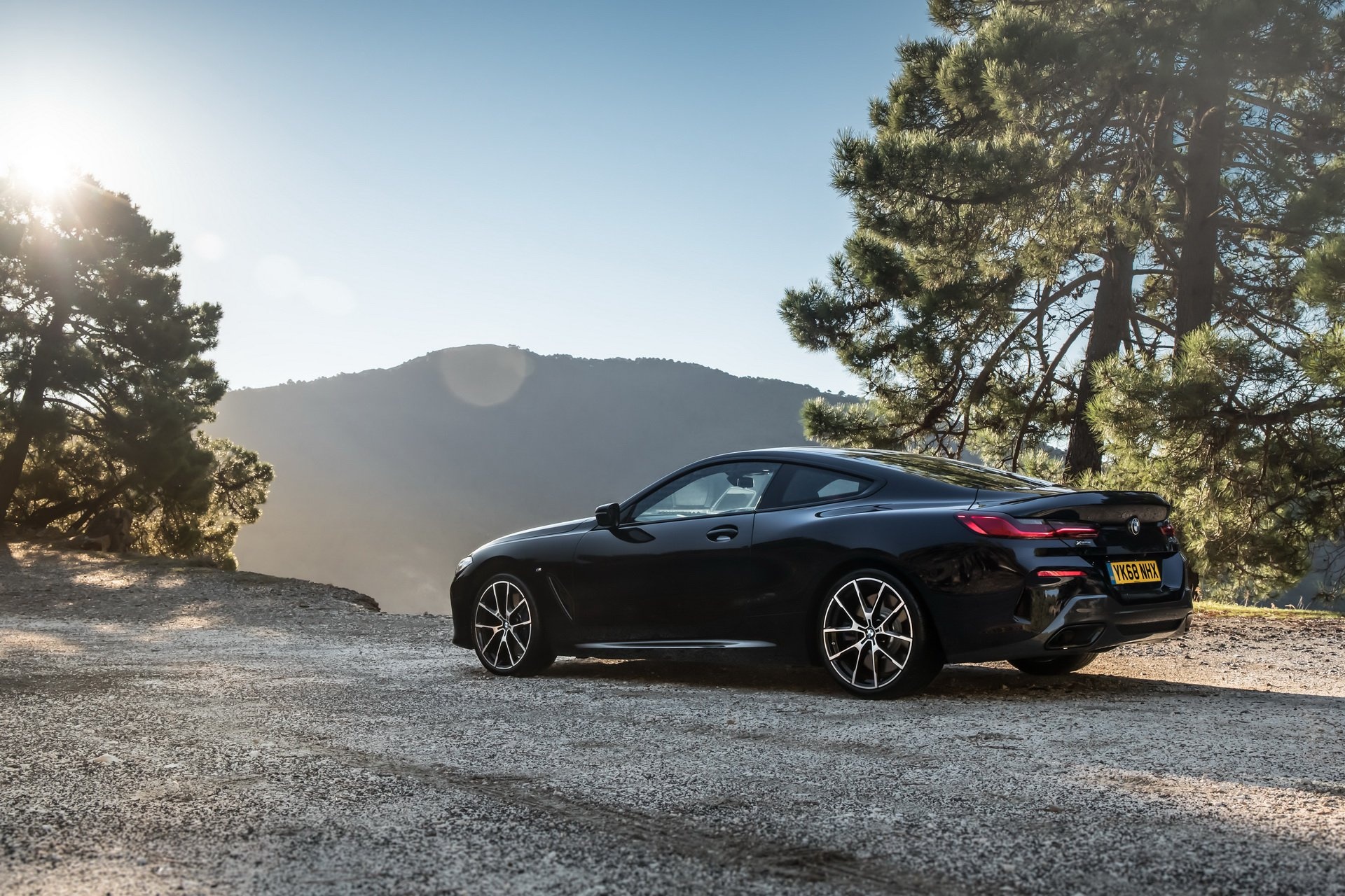 BMW 8-Series Coupe 2019 ra mat anh 2