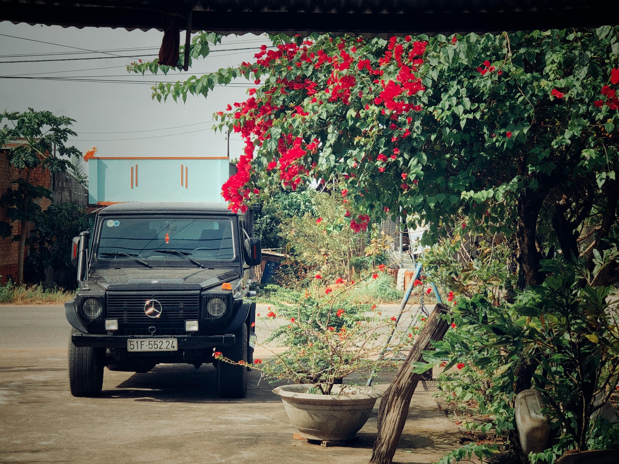 Bo suu tap xe co cua Dinh Tien Dat anh 8