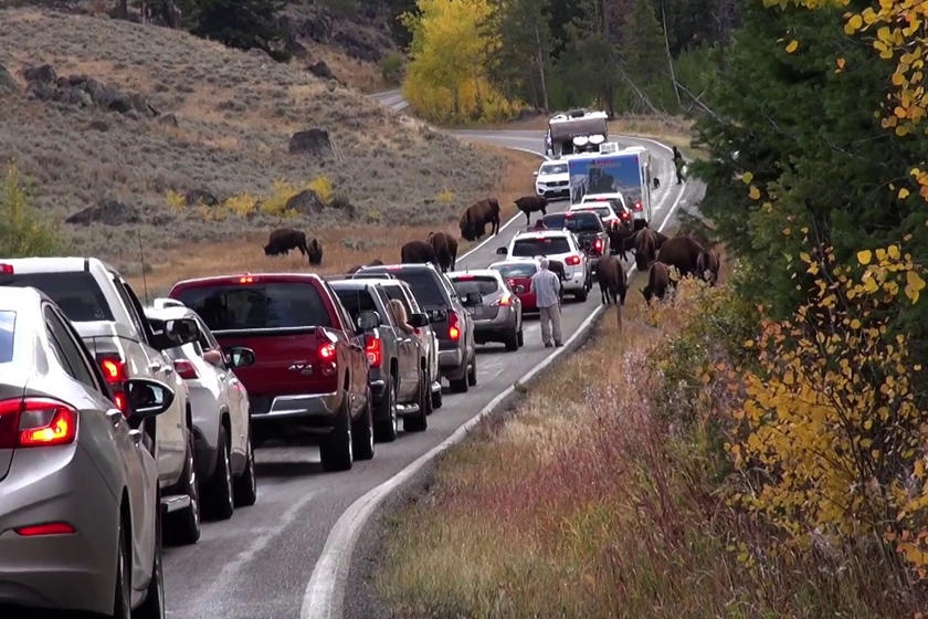 12 luat giao thong la lung nhat the gioi anh 11