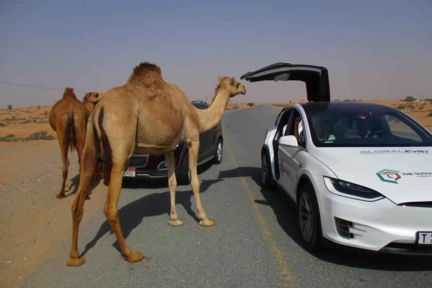 12 luat giao thong la lung nhat the gioi anh 1