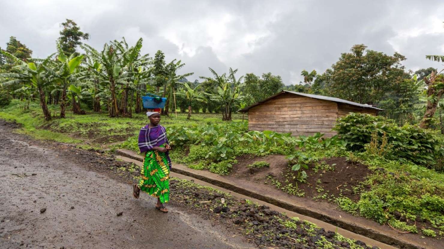 10 quoc gia lai xe nguy hiem nhat the gioi anh 7