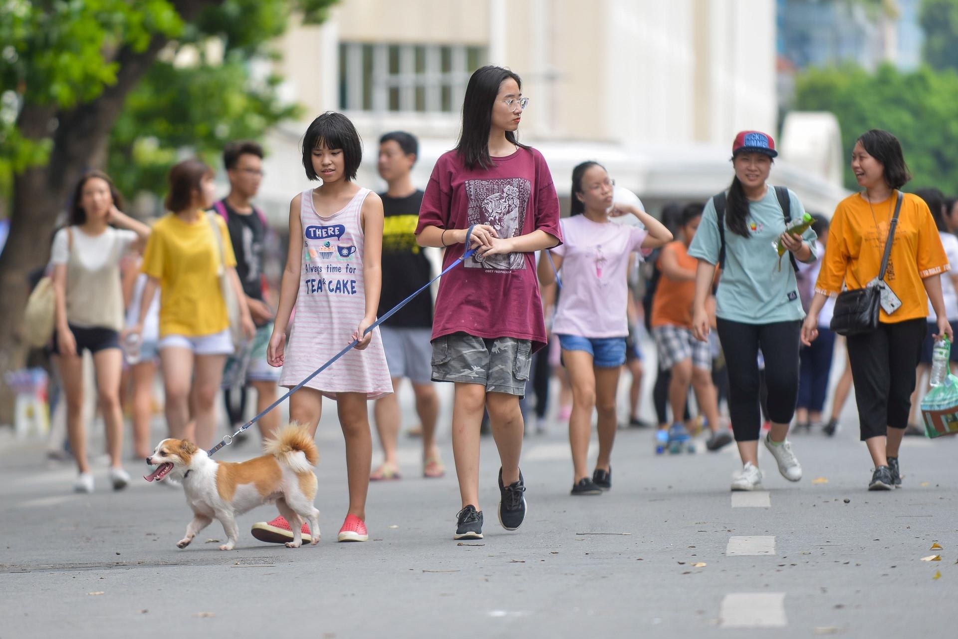 Cấm xe máy,  người dân Hà Nội đi phương tiện gì? ảnh 7 Cam xe may,  nguoi dan Ha Noi di phuong tien gi? anh 7