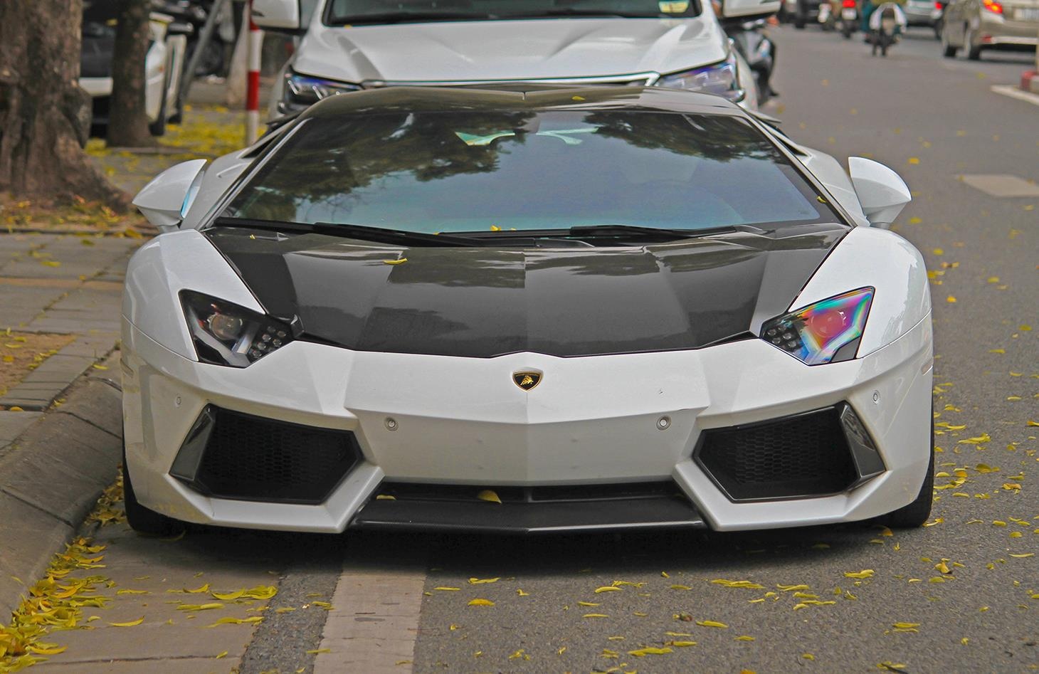 Can canh Lamborghini Aventador Roadster do Novitec anh 2