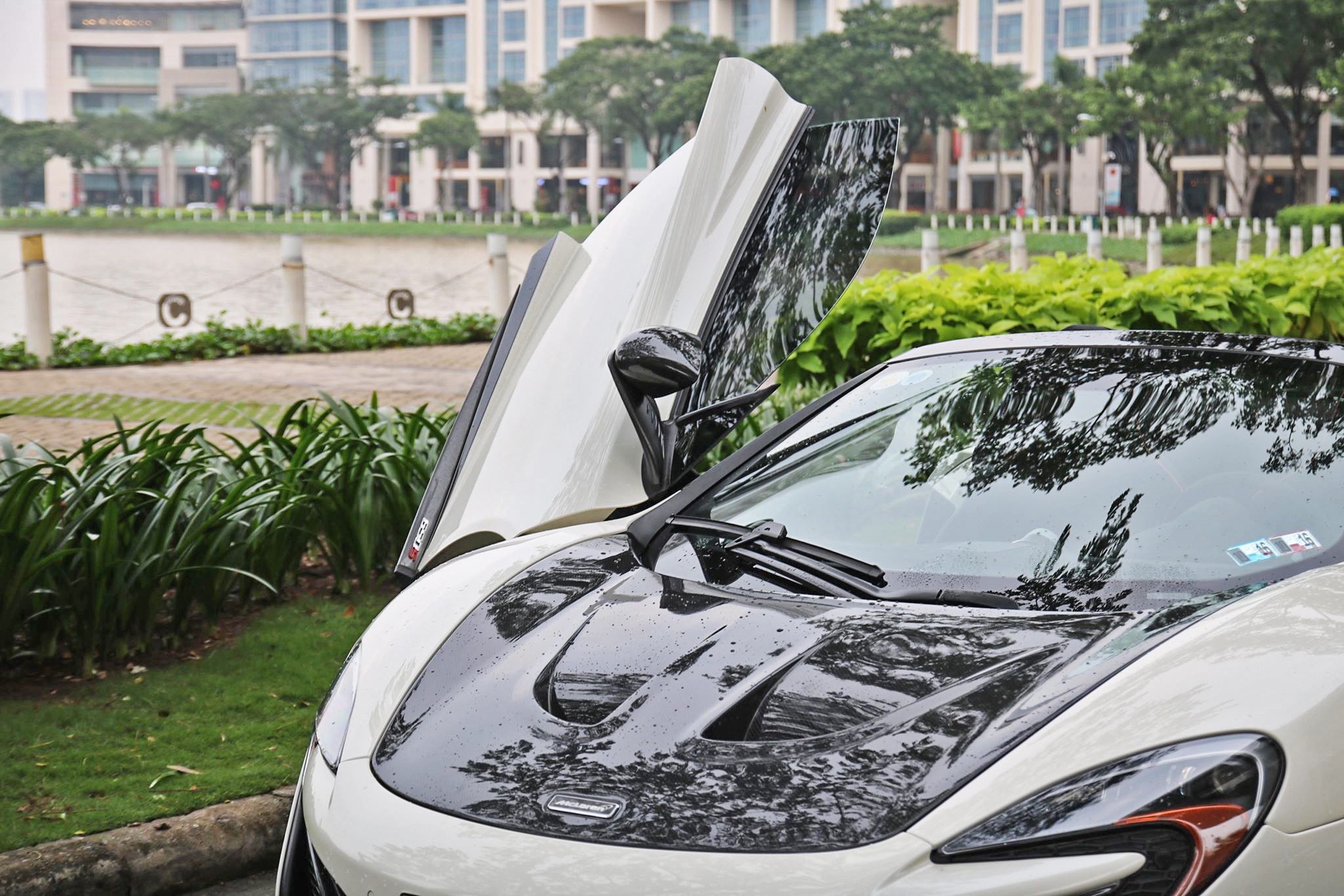 McLaren 650S Spider lột xác  ảnh 9 McLaren 650S Spider lot xac anh 9