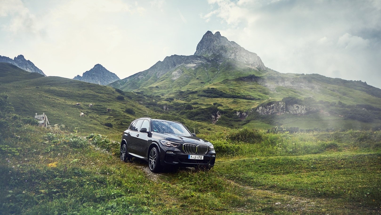 BMW X5 xDrive45e Hybrid anh 1