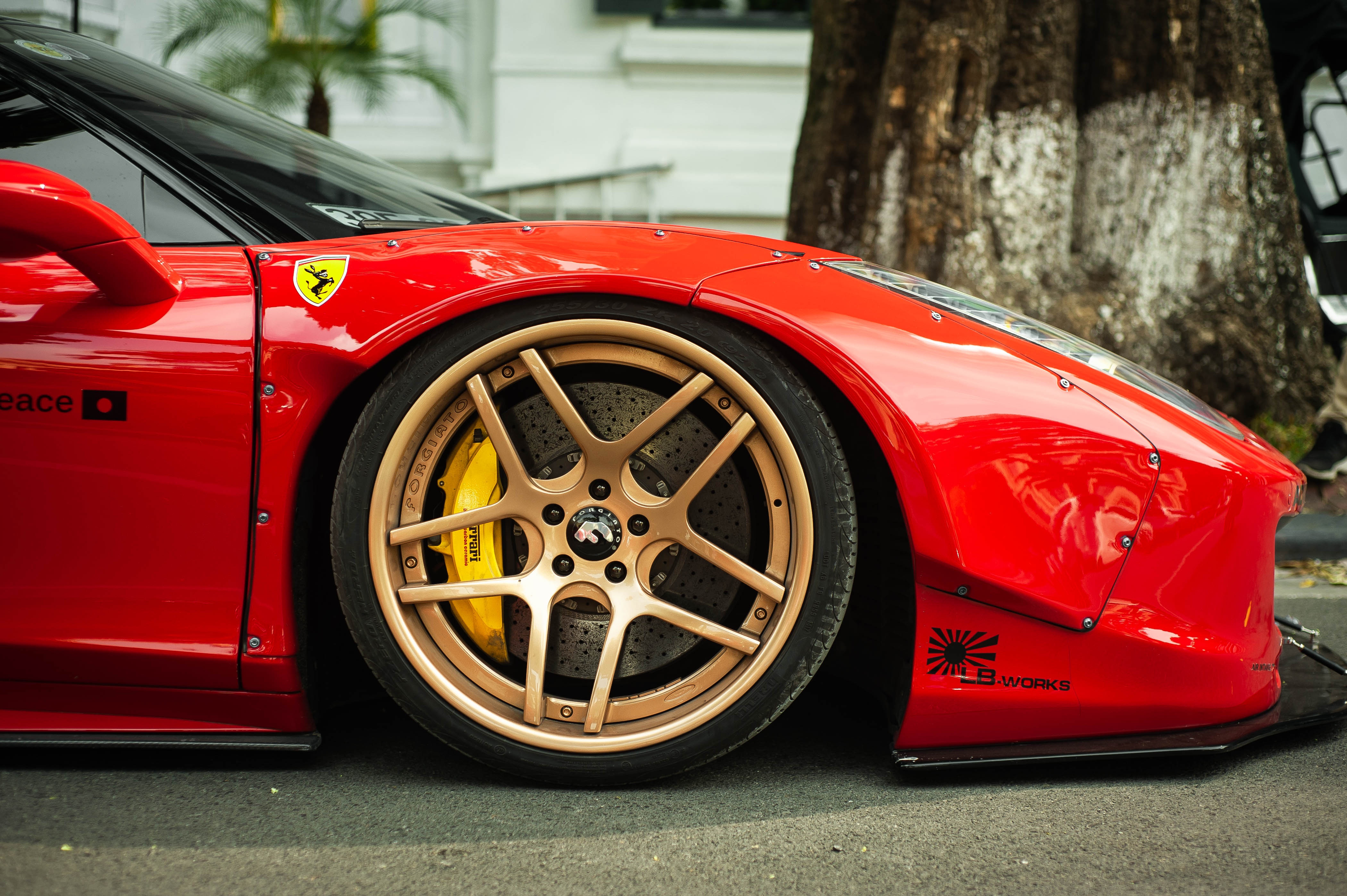 Ferrari 458 Italia do than rong anh 10