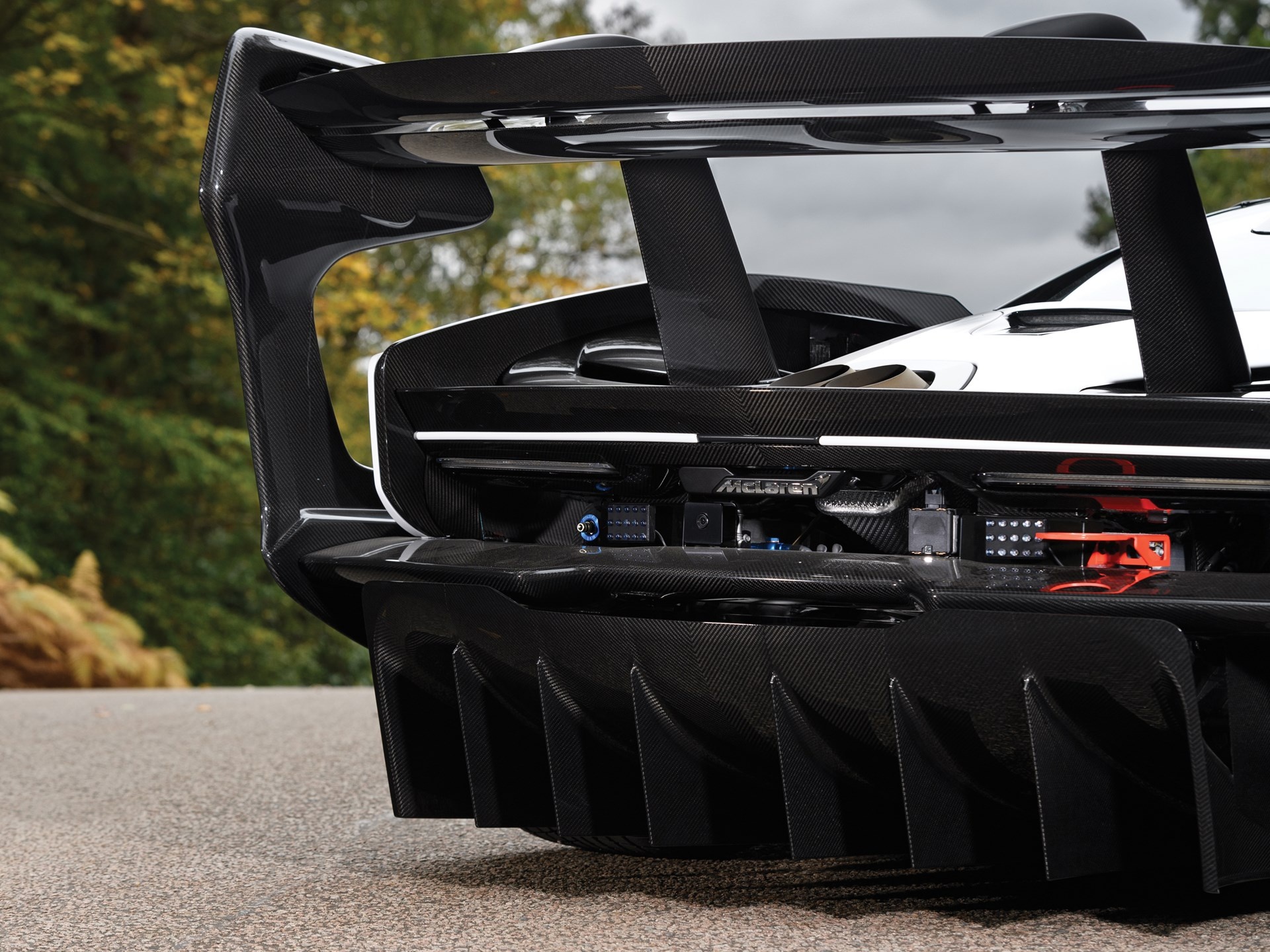 McLaren Senna GTR ban dau gia anh 6