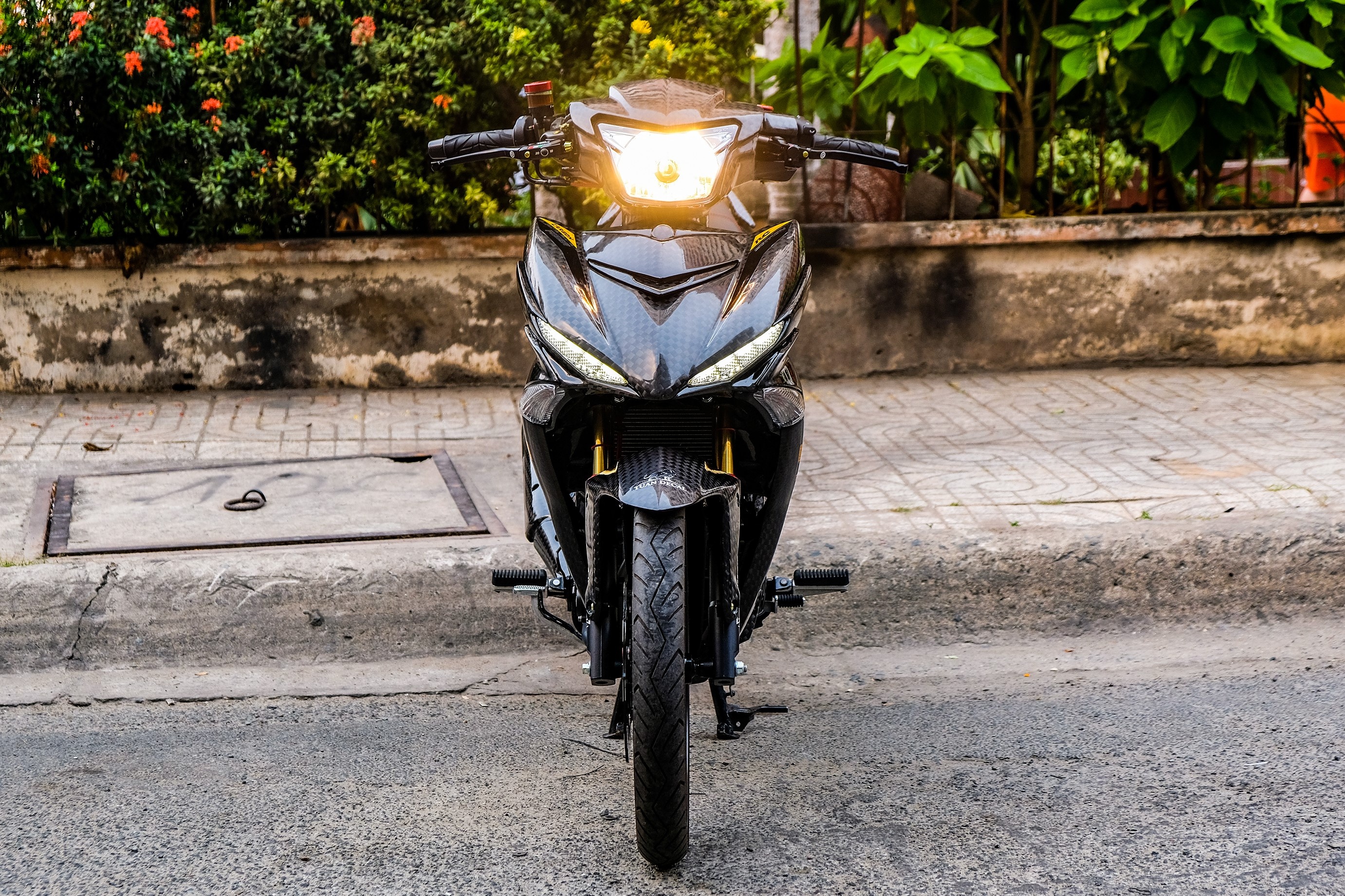 Yamaha Exciter do dan ao carbon anh 2