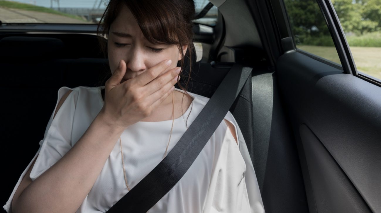 Ngan ngua say tau xe anh 3