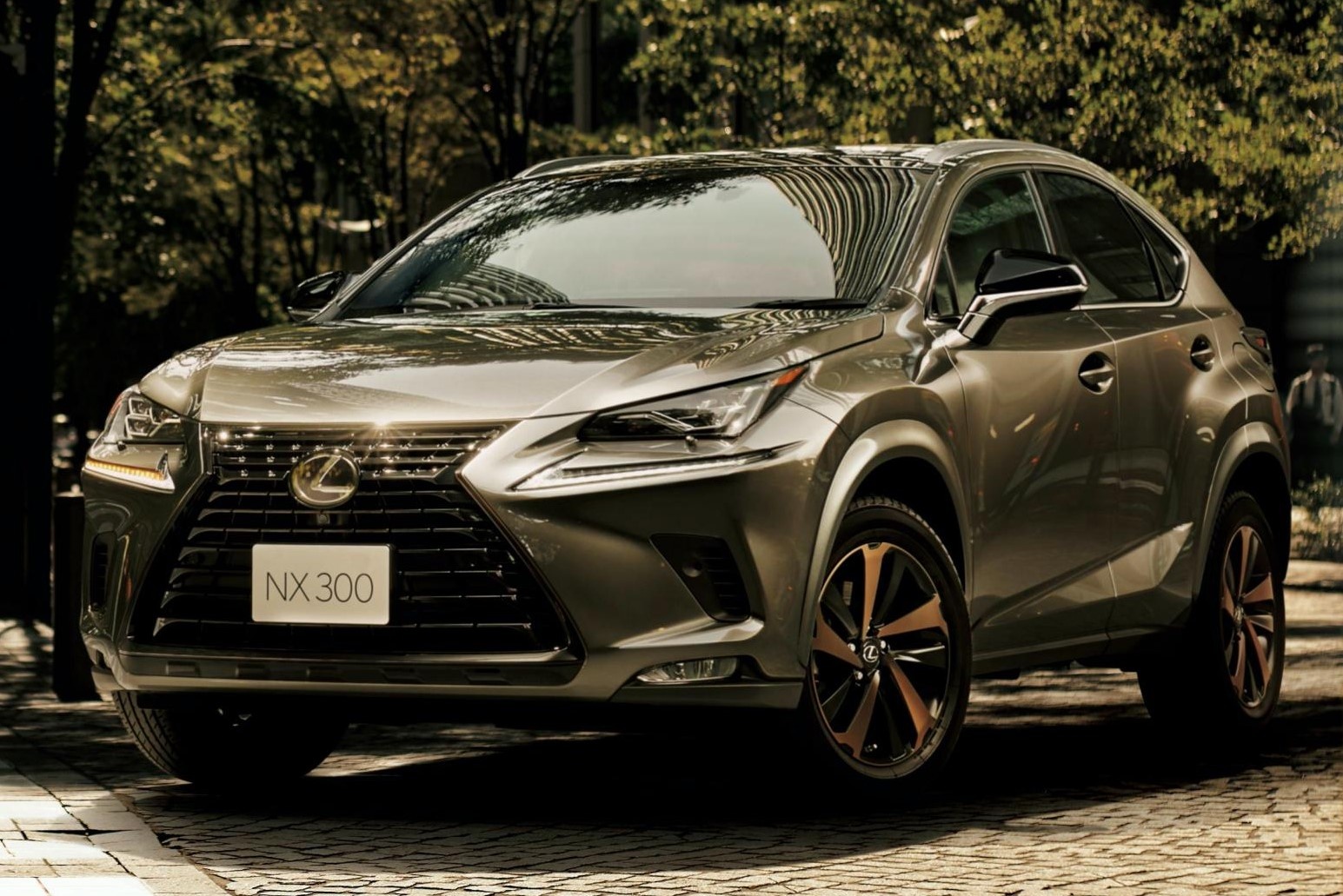 Lexus NX 300 2020 ra mat Viet Nam, gia 2,56 ty dong hinh anh