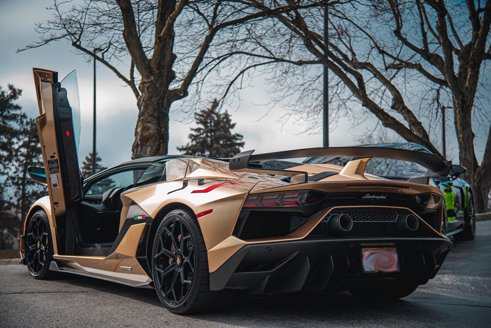 Người Việt tậu chiếc Lamborghini Aventador SVJ Roadster đầu tiên thế giới ảnh 6 Nguoi Viet tau chiec Lamborghini Aventador SVJ Roadster dau tien the gioi anh 6