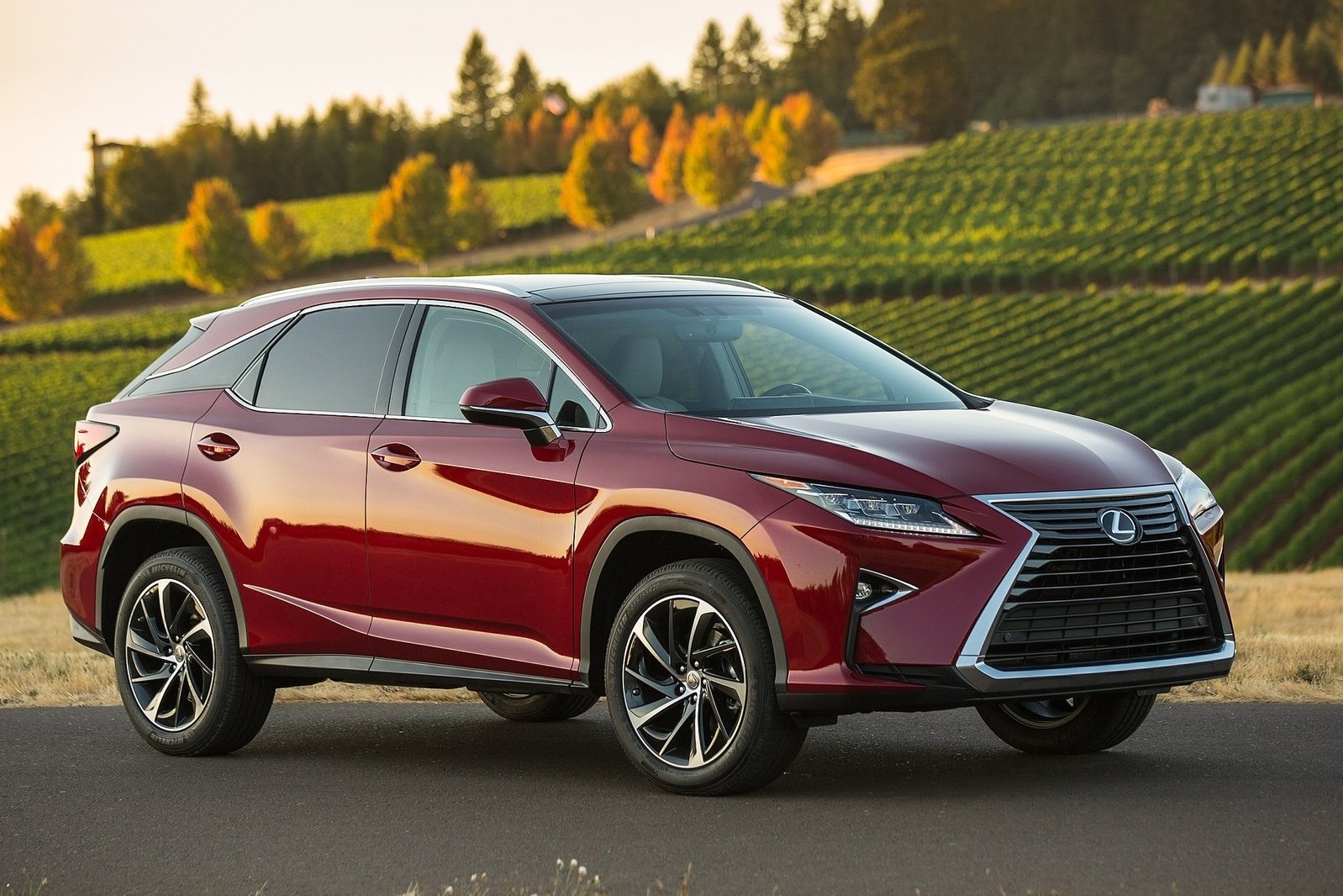 900 xe sang Audi Q5 va Lexus RX 350 tai Viet Nam duoc trieu hoi hinh anh