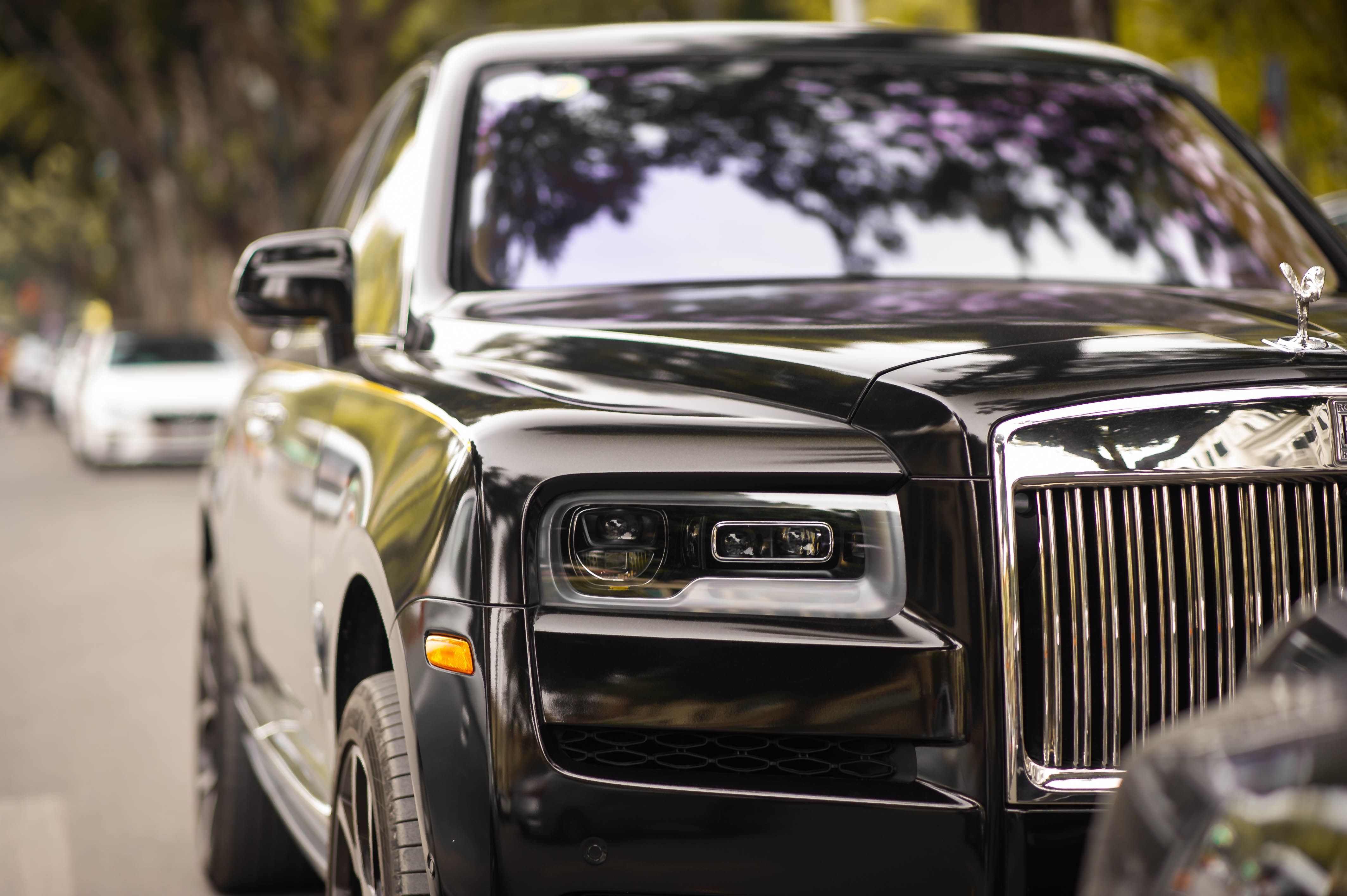Rolls-Royce Cullinan dau tien Viet Nam anh 8