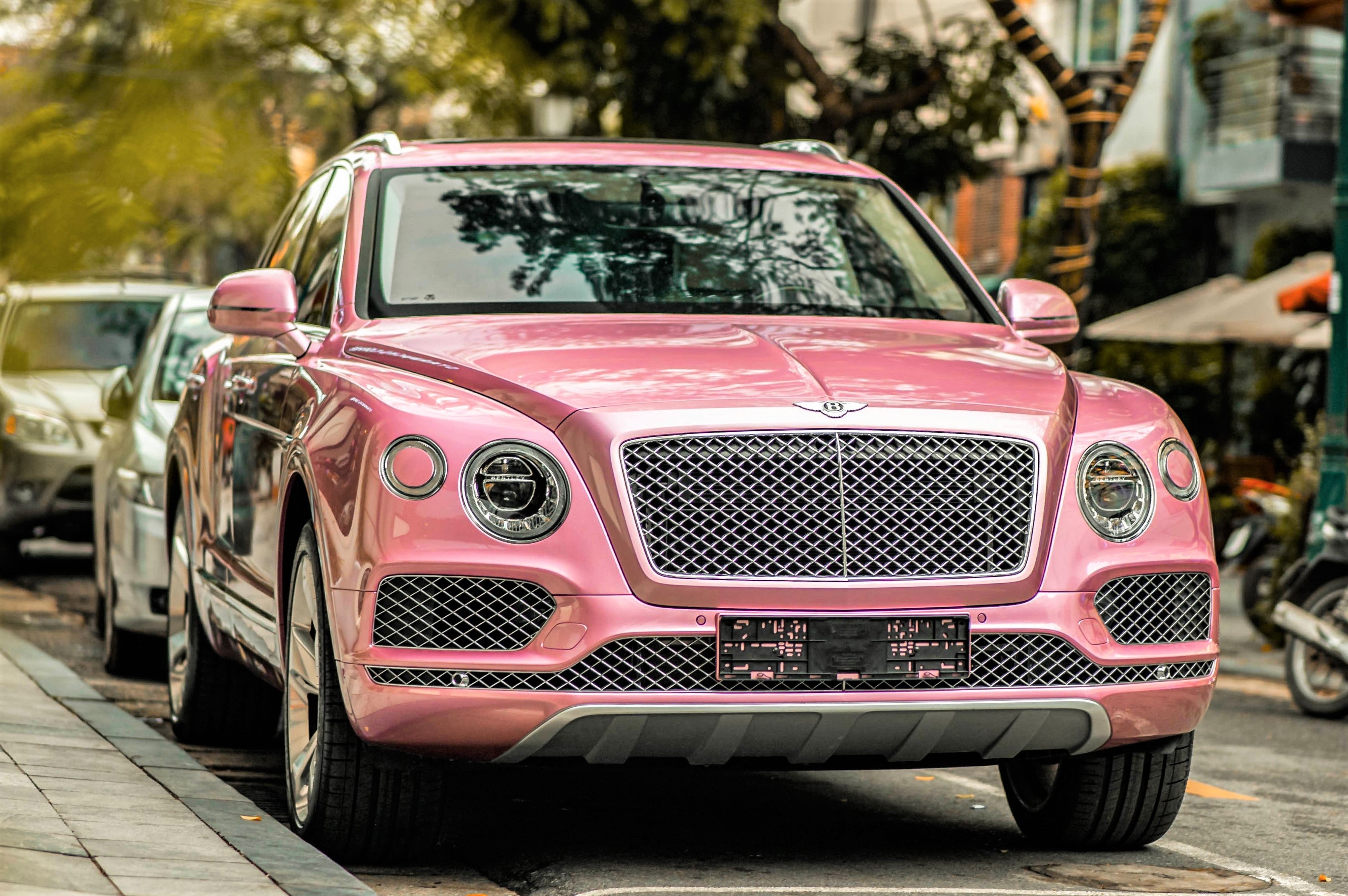 Can canh Bentley Bentayga mau dieu nhat Viet Nam hinh anh
