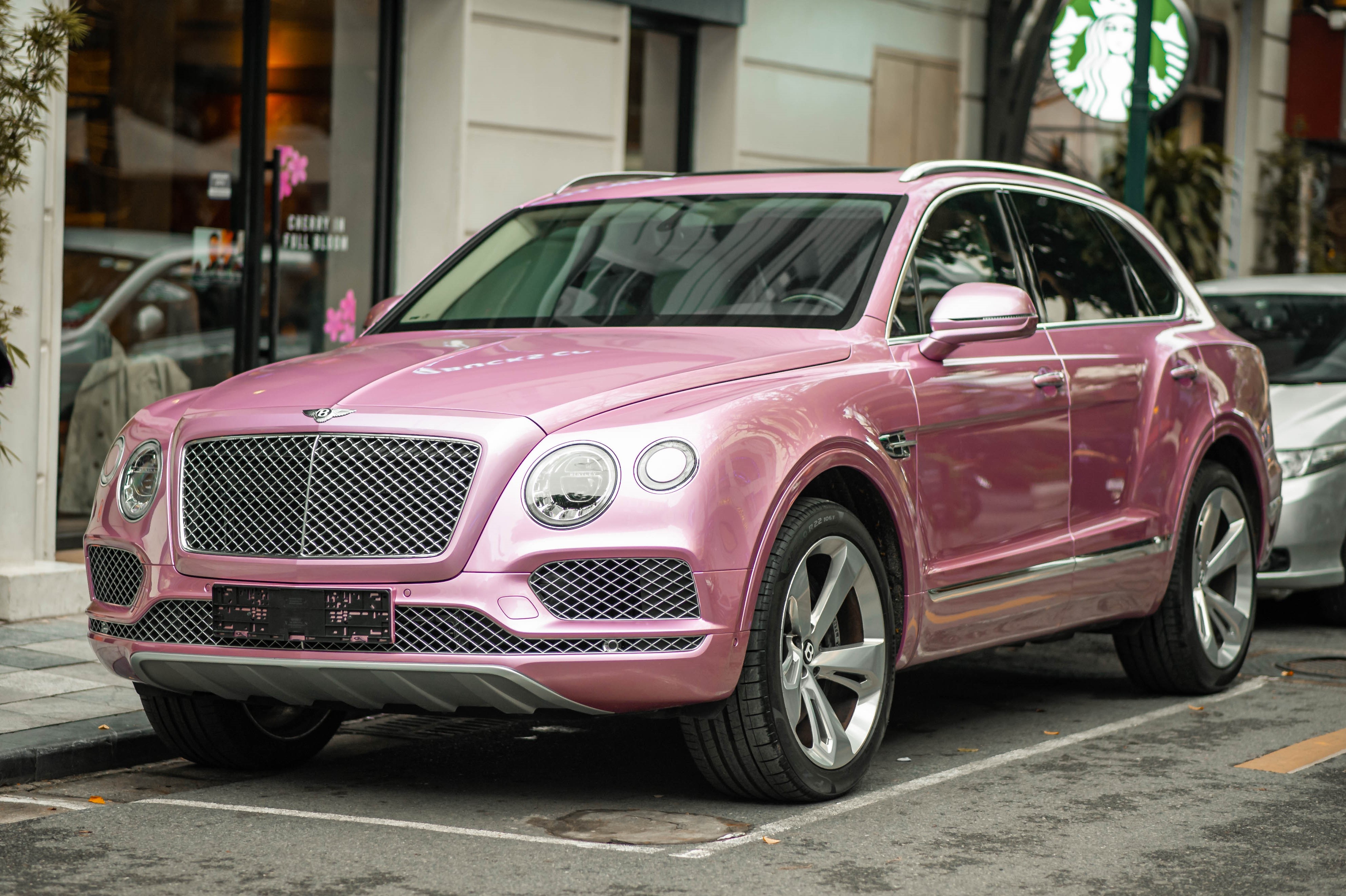 SUV dat gia nhat Viet Nam anh 4