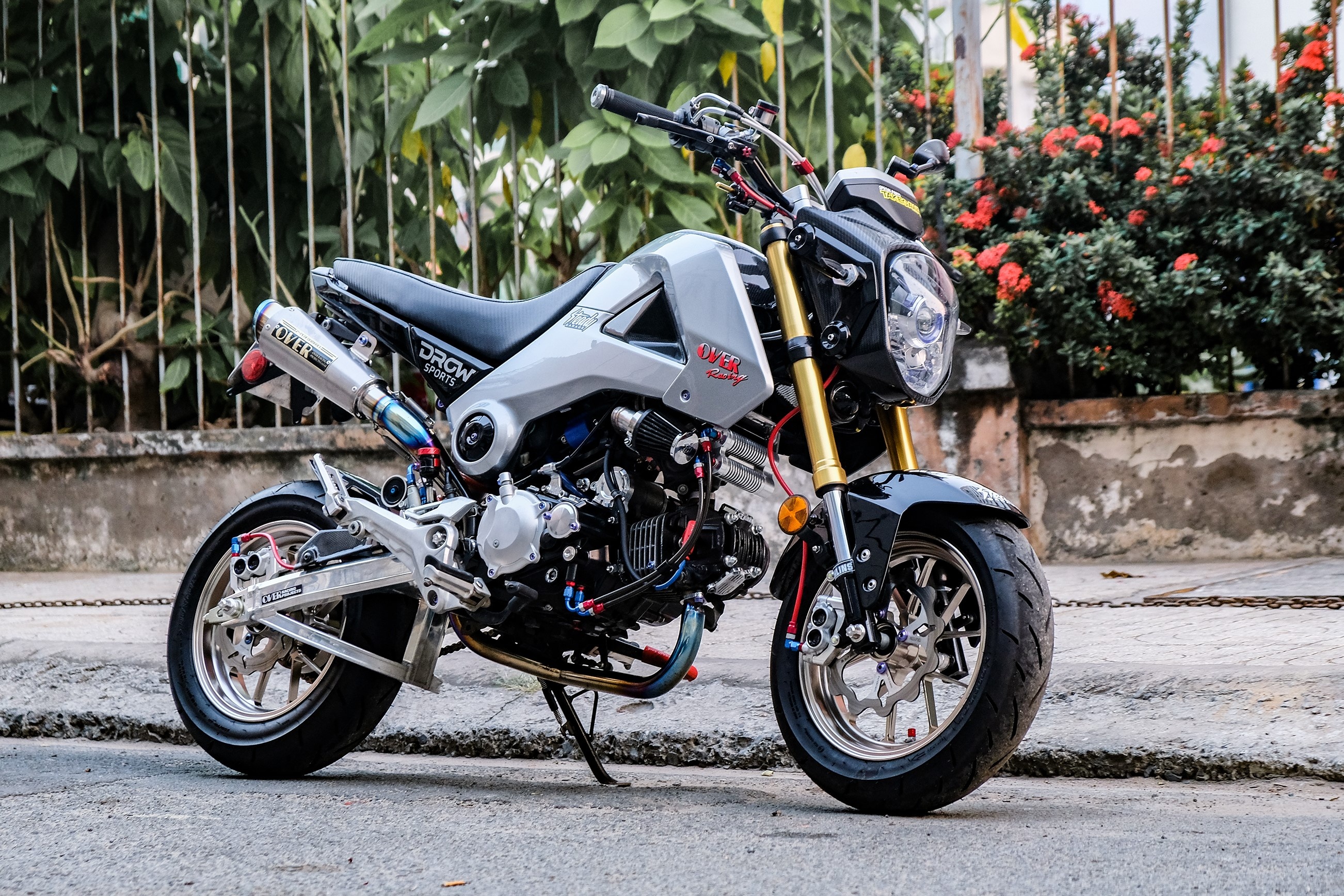 Honda MSX do anh 1