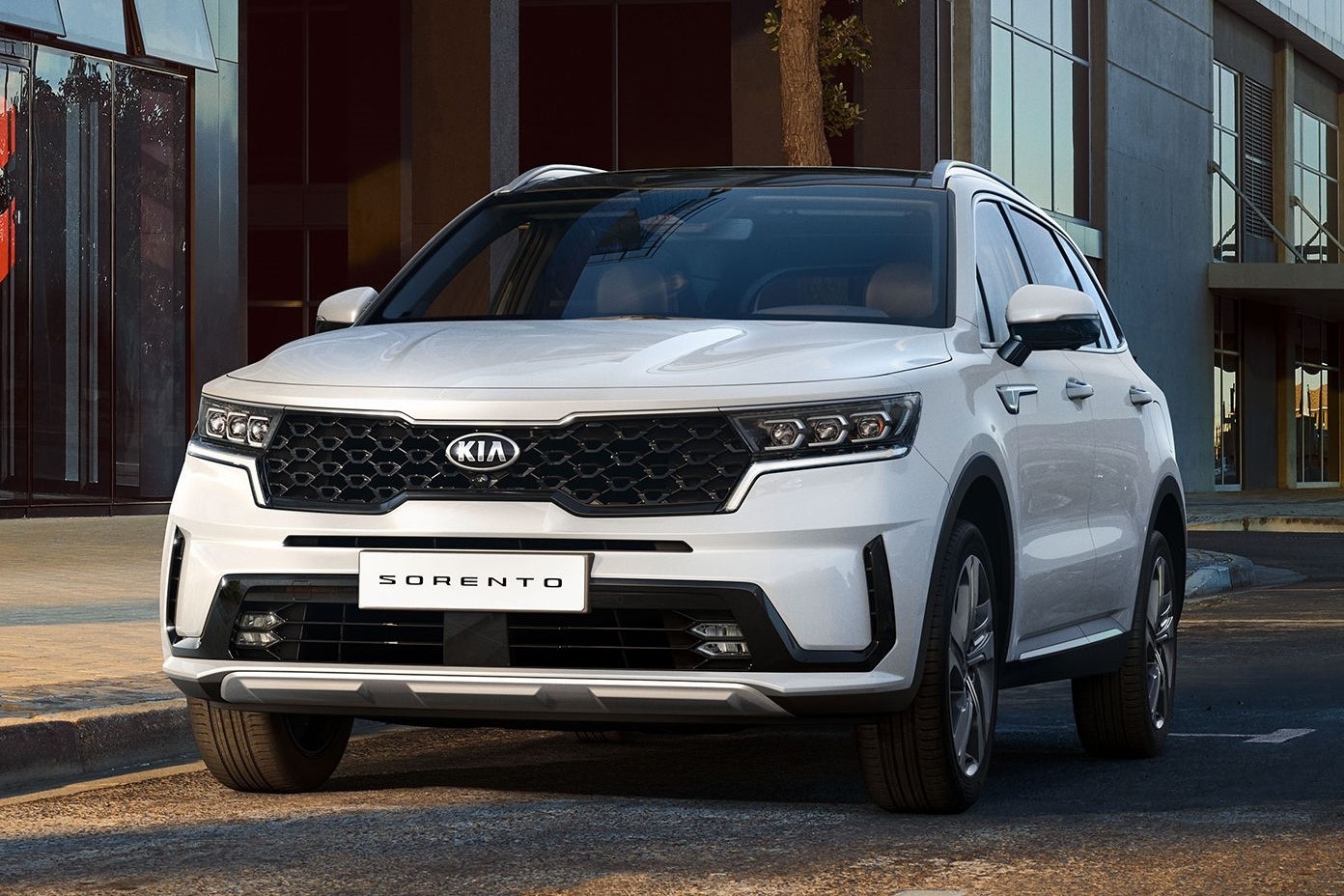 Hyundai Santa Fe 2021 dau Kia Sorento 2021 anh 2