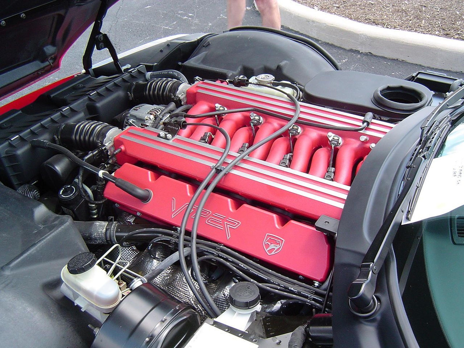 Những sự thật về Lamborghini ảnh 10 Nhung su that ve Lamborghini anh 10