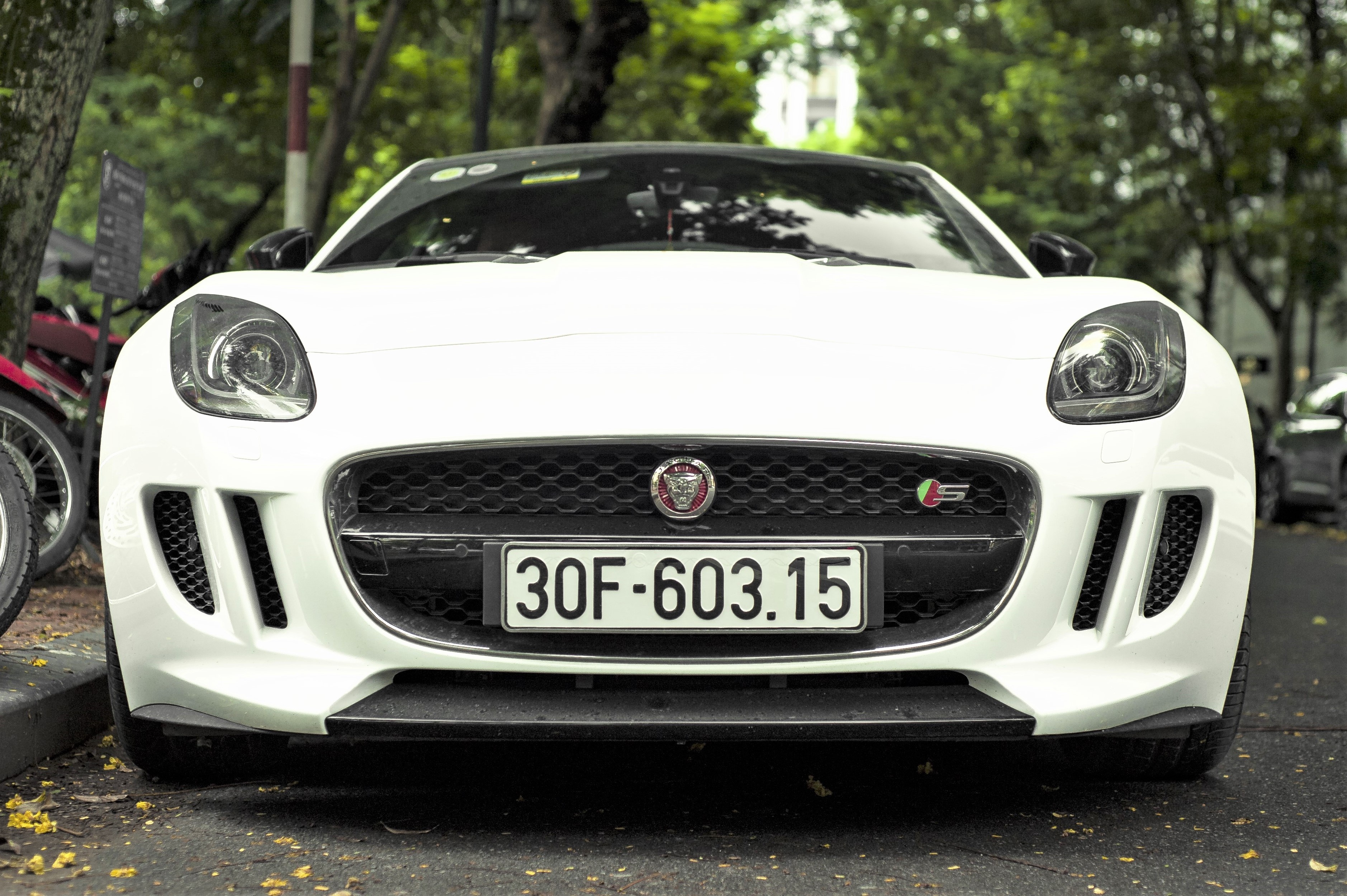 Xe the thao hang hiem Jaguar F-Type S dao pho Ha Noi hinh anh