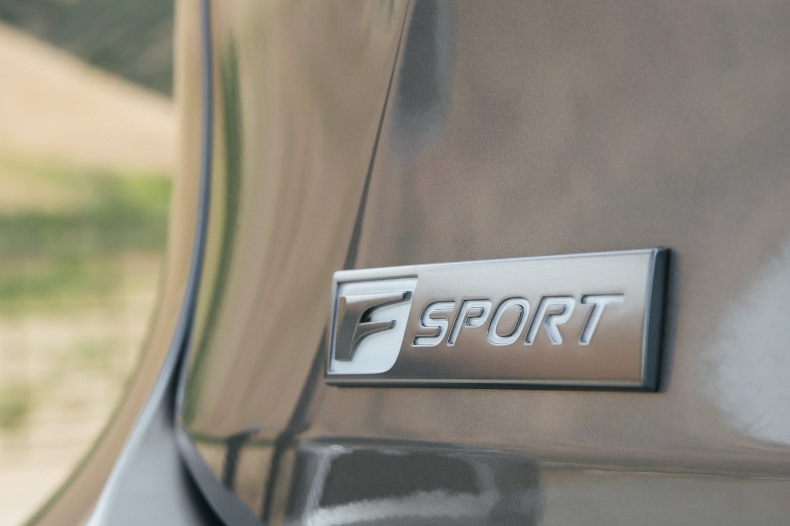 Lexus ra mat phien ban gioi han RX Black Line anh 8